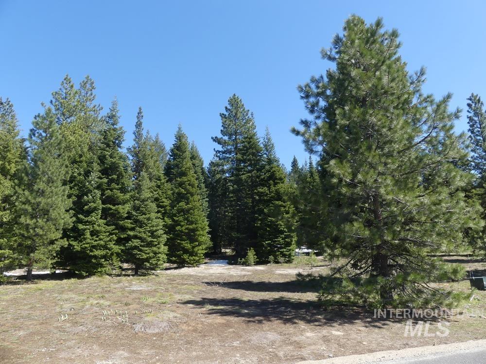 TBD Whitefield Lane, McCall, Idaho 83638, Land For Sale, Price $242,000,MLS 98946662