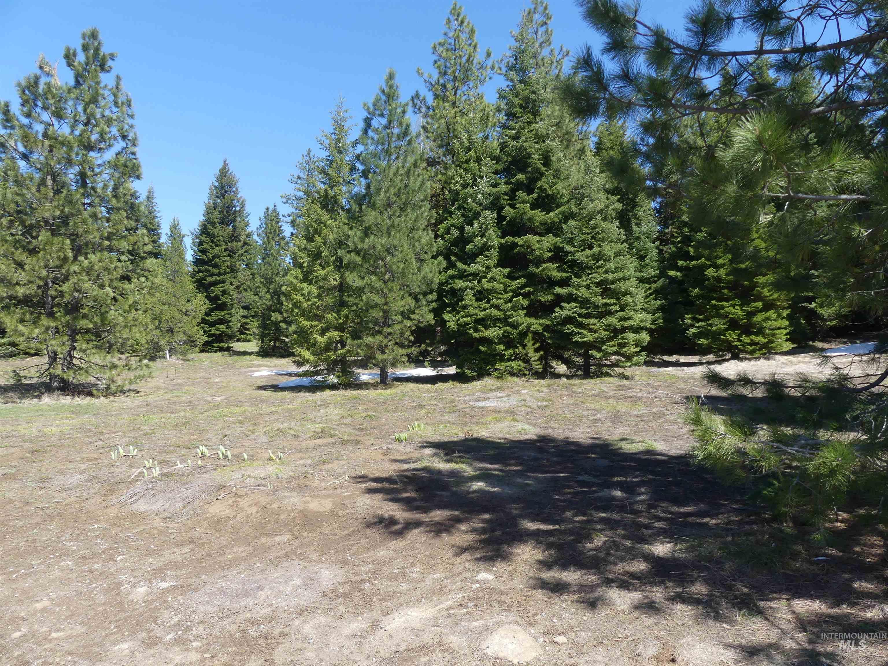TBD Whitefield Lane, McCall, Idaho 83638, Land For Sale, Price $242,000,MLS 98946662