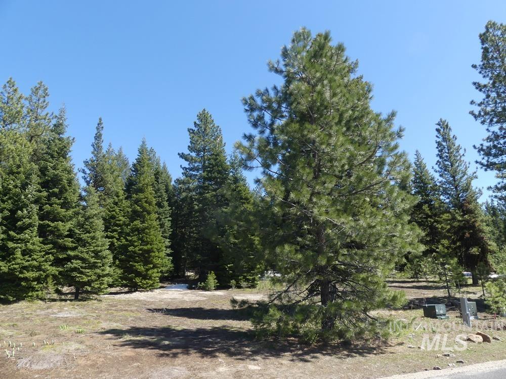 TBD Whitefield Lane, McCall, Idaho 83638, Land For Sale, Price $242,000,MLS 98946662
