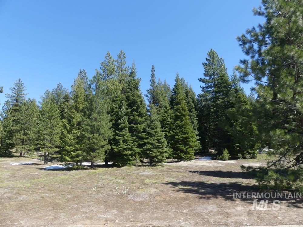 TBD Whitefield Lane, McCall, Idaho 83638, Land For Sale, Price $242,000,MLS 98946662