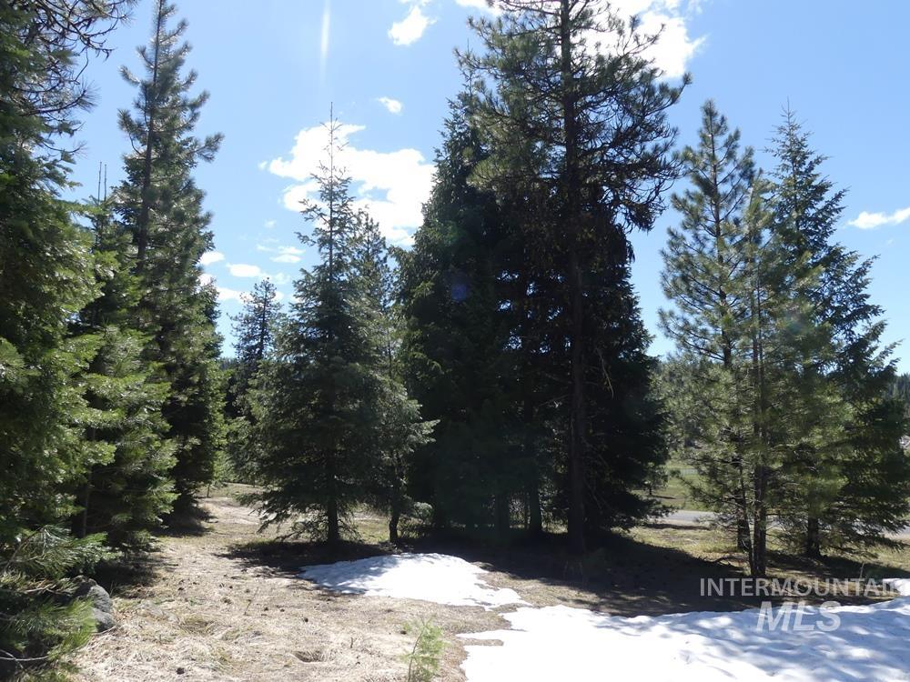 TBD Whitefield Lane, McCall, Idaho 83638, Land For Sale, Price $242,000,MLS 98946662