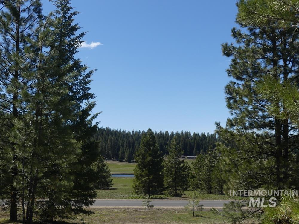 TBD Whitefield Lane, McCall, Idaho 83638, Land For Sale, Price $242,000,MLS 98946662