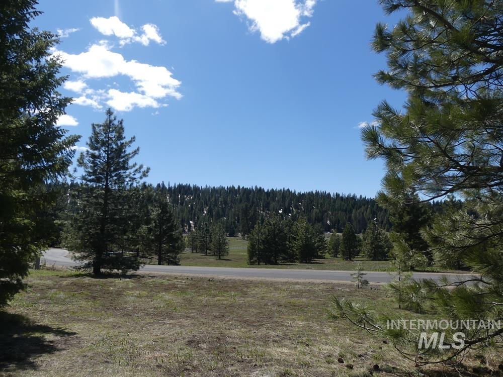 TBD Whitefield Lane, McCall, Idaho 83638, Land For Sale, Price $242,000,MLS 98946662