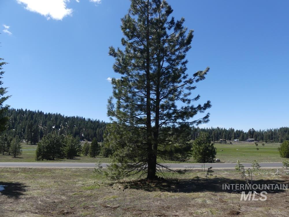 TBD Whitefield Lane, McCall, Idaho 83638, Land For Sale, Price $242,000,MLS 98946662