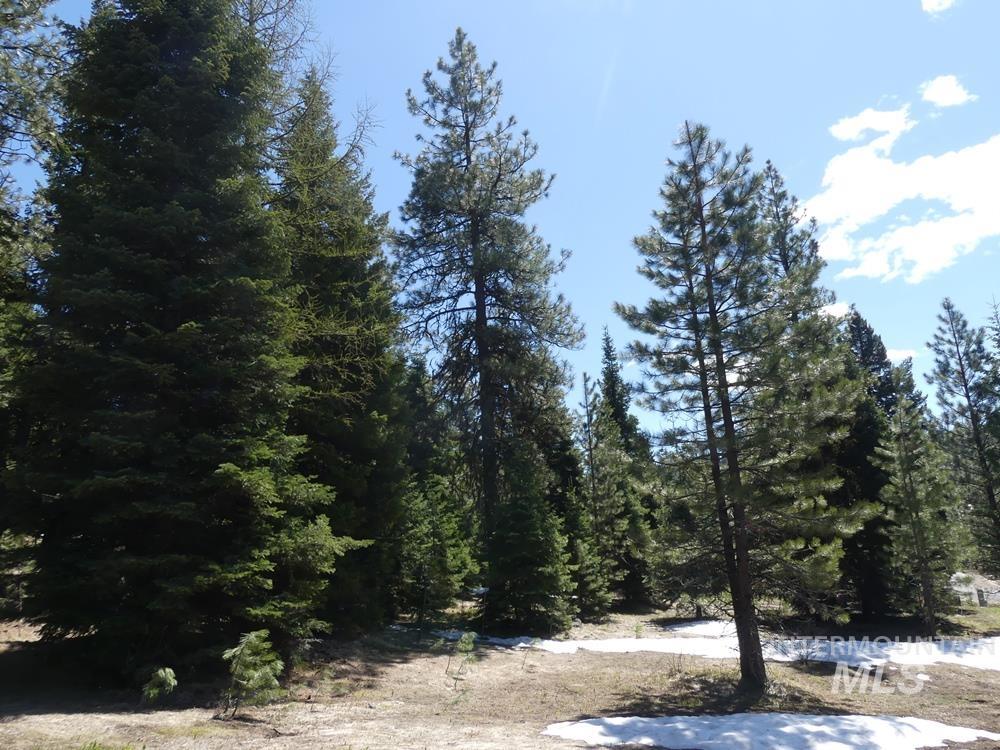 TBD Whitefield Lane, McCall, Idaho 83638, Land For Sale, Price $242,000,MLS 98946662