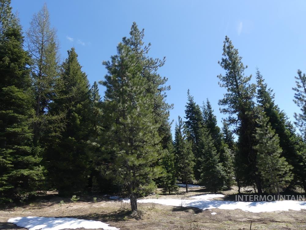 TBD Whitefield Lane, McCall, Idaho 83638, Land For Sale, Price $242,000,MLS 98946662