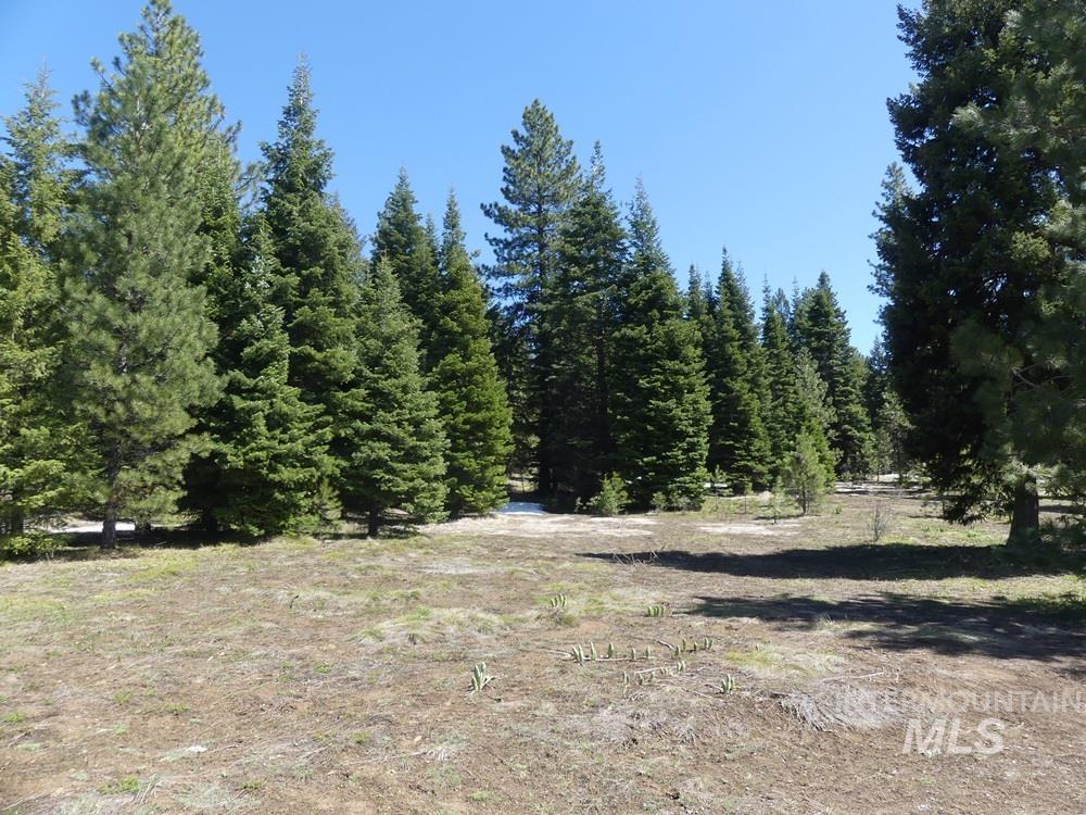 TBD Whitefield Lane, McCall, Idaho 83638, Land For Sale, Price $242,000,MLS 98946662