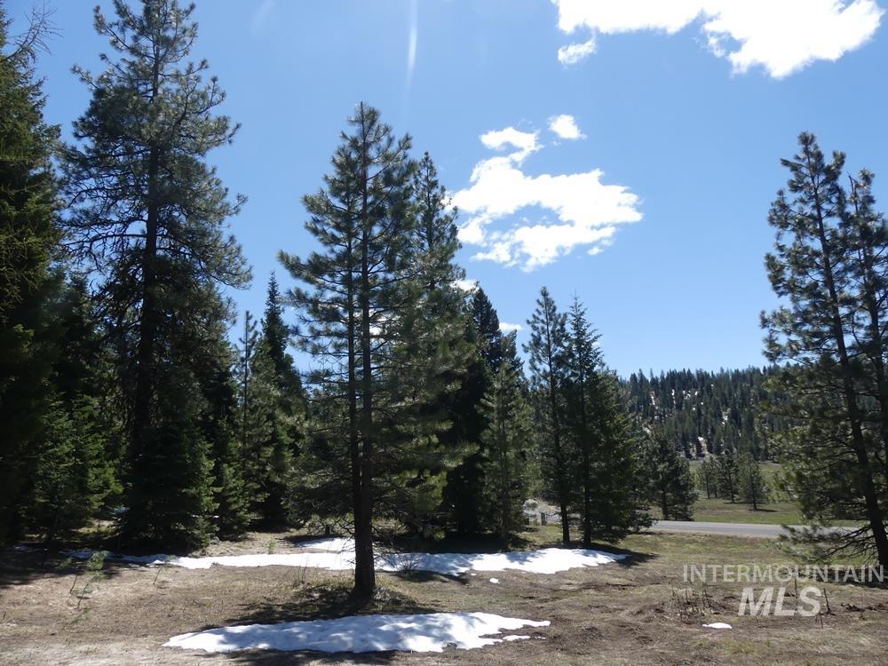 TBD Whitefield Lane, McCall, Idaho 83638, Land For Sale, Price $242,000,MLS 98946662