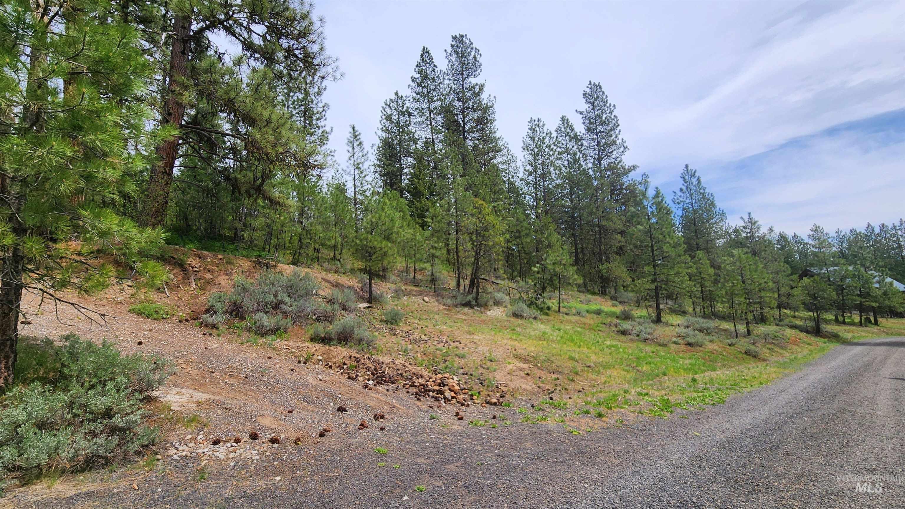 TBD Kimberland Drive, New Meadows, Idaho 83654, Land For Sale, Price $99,000, 98946760