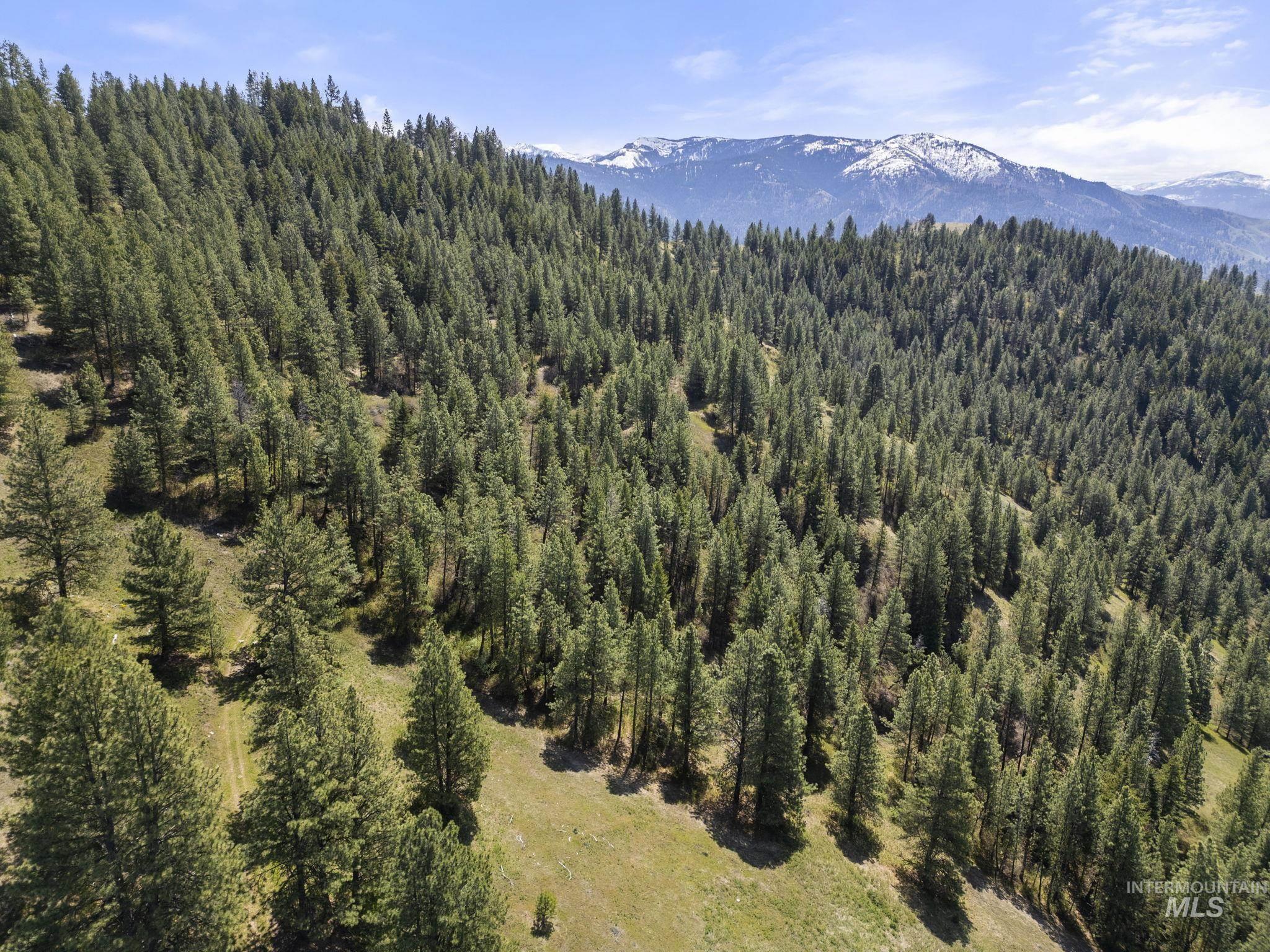 TBD Lightning Creek, Riggins, Idaho 83549, Farm & Ranch For Sale, Price $7,100,000,MLS 98946876