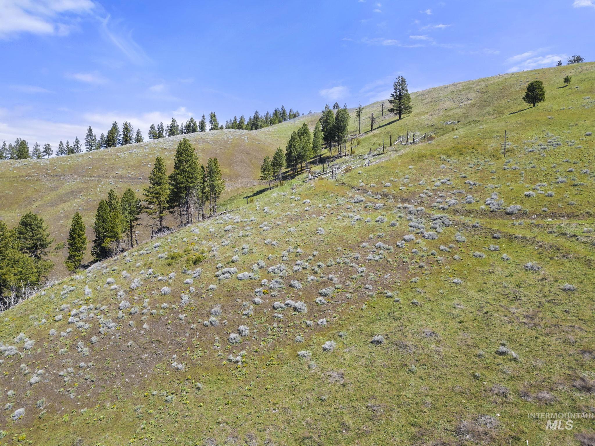 TBD Lightning Creek, Riggins, Idaho 83549, Farm & Ranch For Sale, Price $7,100,000,MLS 98946876