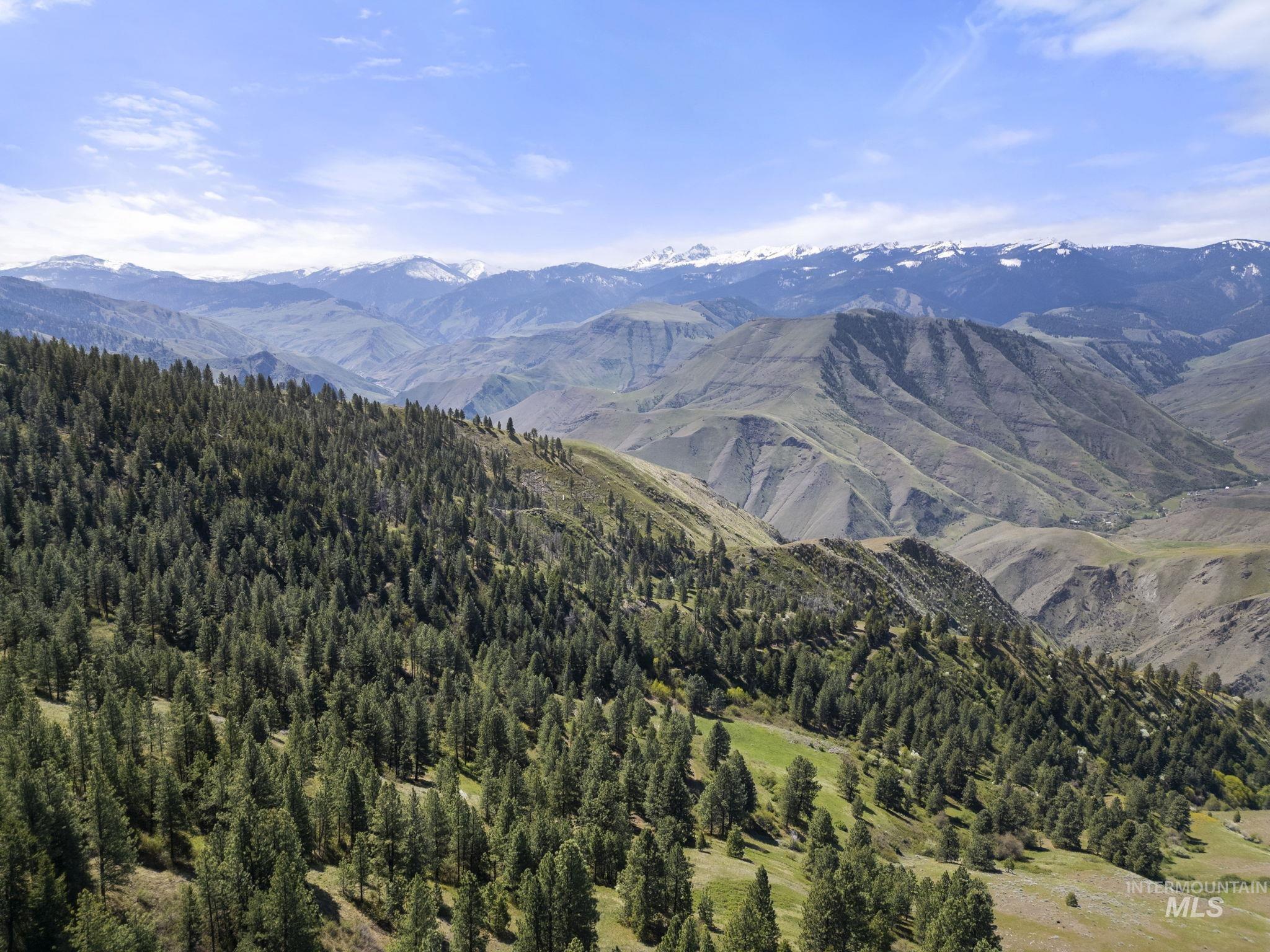 TBD Lightning Creek, Riggins, Idaho 83549, Land For Sale, Price $2,100,000,MLS 98946881