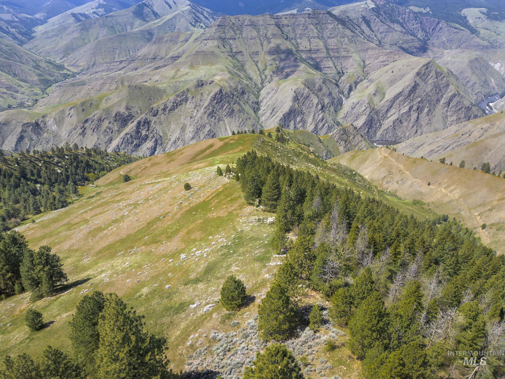 TBD Lightning Creek, Riggins, Idaho 83549, Land For Sale, Price $2,100,000,MLS 98946881