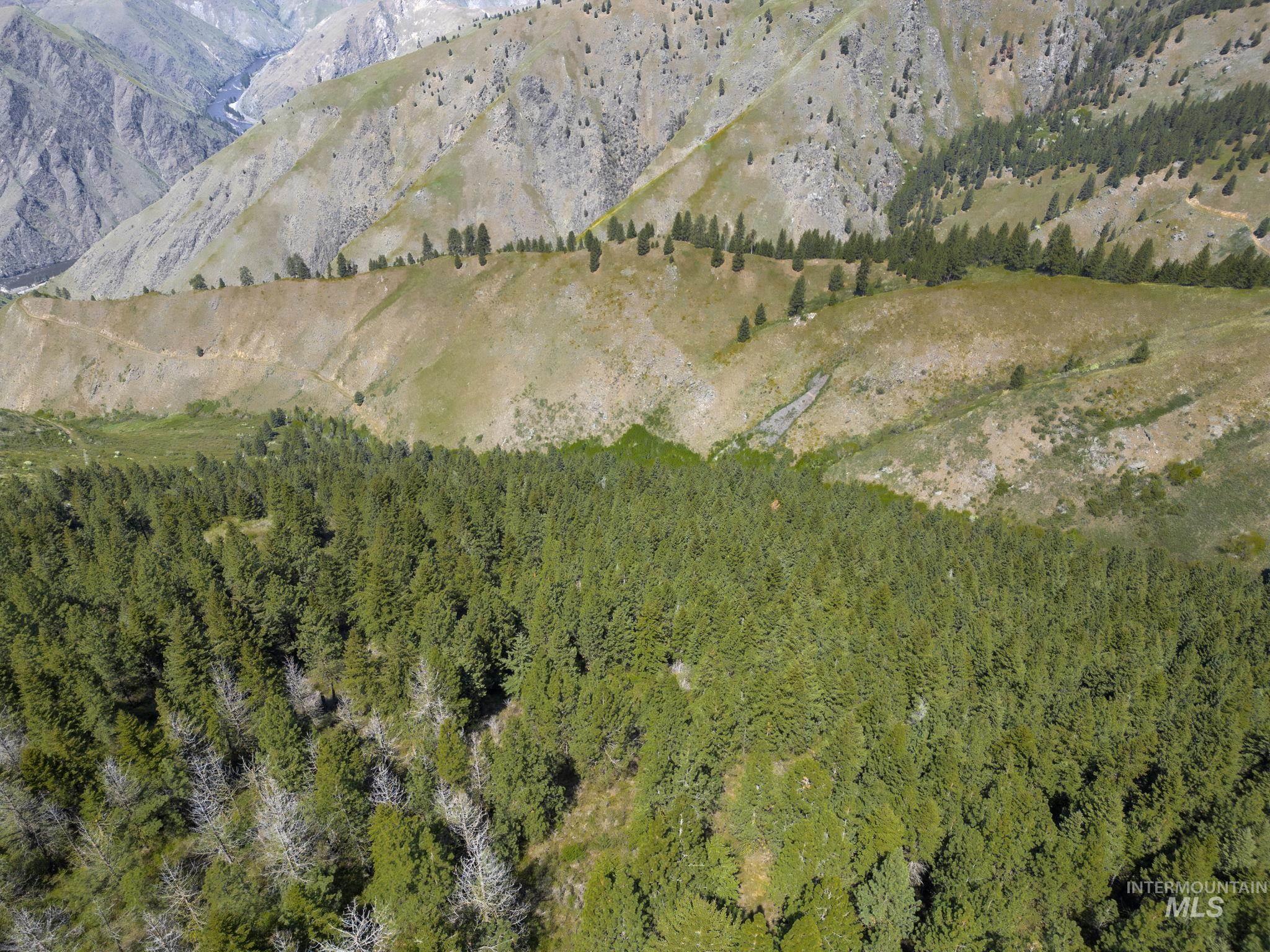 TBD Lightning Creek, Riggins, Idaho 83549, Land For Sale, Price $2,100,000,MLS 98946881