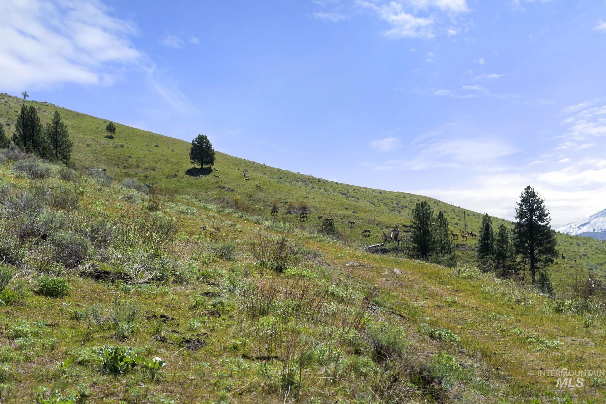 TBD Lightning Creek, Riggins, Idaho 83549, Land For Sale, Price $2,100,000,MLS 98946881