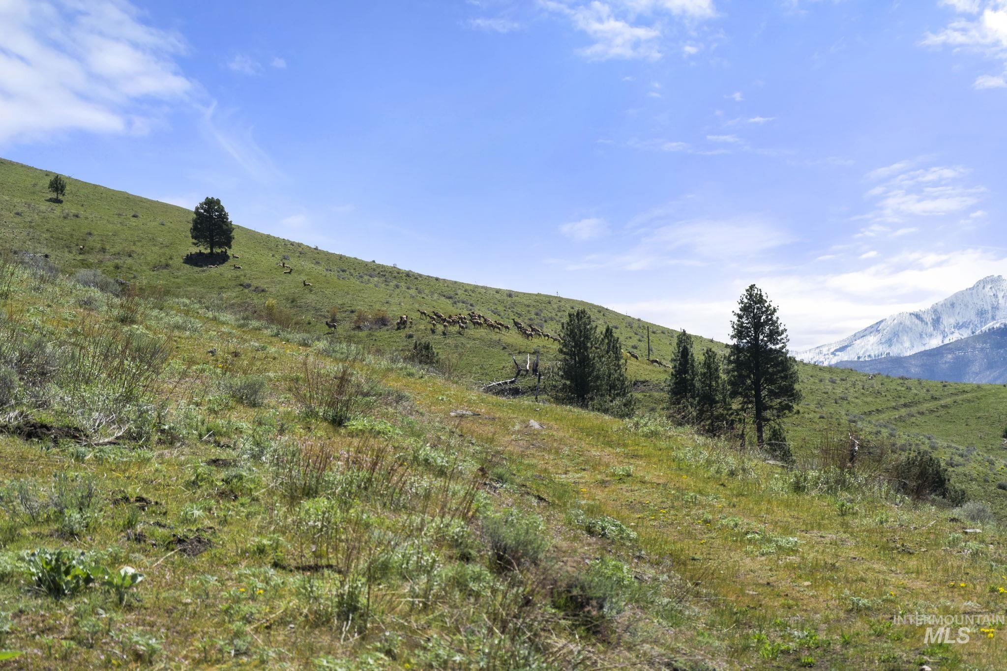 TBD Lightning Creek, Riggins, Idaho 83549, Land For Sale, Price $2,100,000,MLS 98946881
