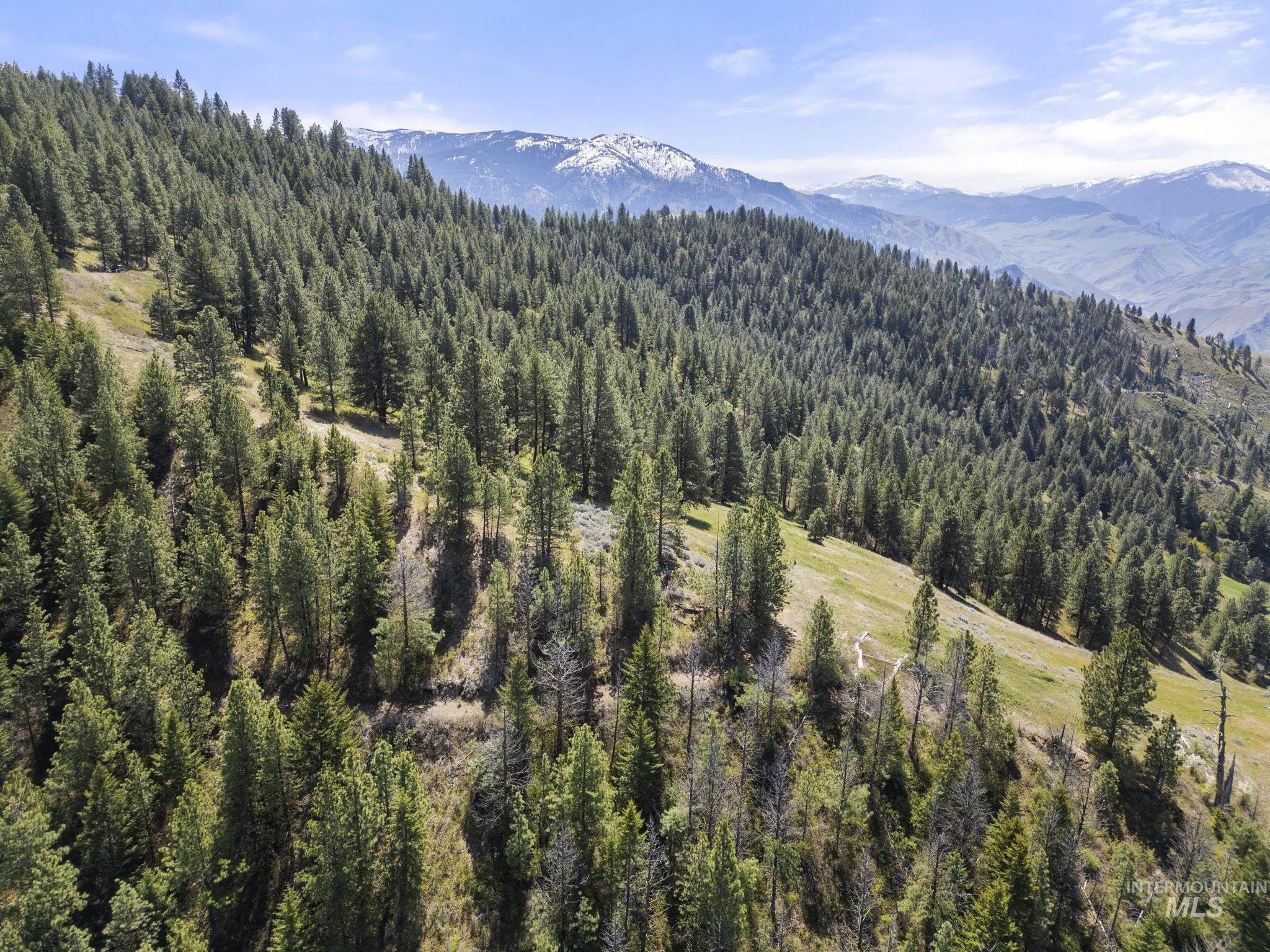 TBD Lightning Creek, Riggins, Idaho 83549, Land For Sale, Price $2,100,000,MLS 98946881
