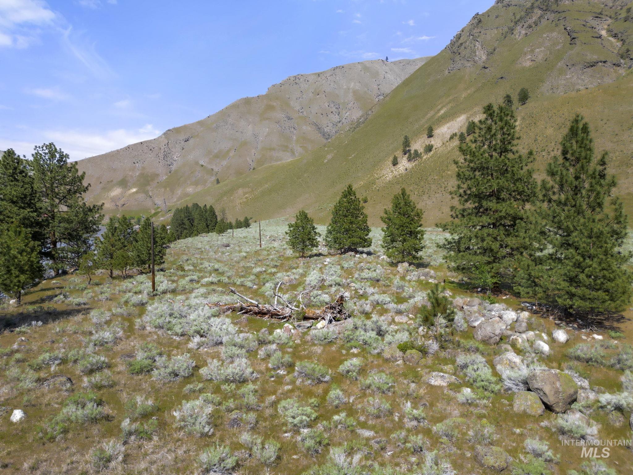 TBD Lightning Creek, Riggins, Idaho 83549, Land For Sale, Price $5,000,000,MLS 98946883