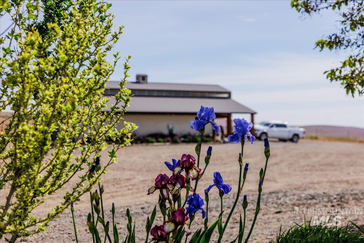 1270 Hillcrest Dr., Vale, Oregon 97918, 3 Bedrooms, 4 Bathrooms, Farm & Ranch For Sale, Price $2,400,000,MLS 98947142