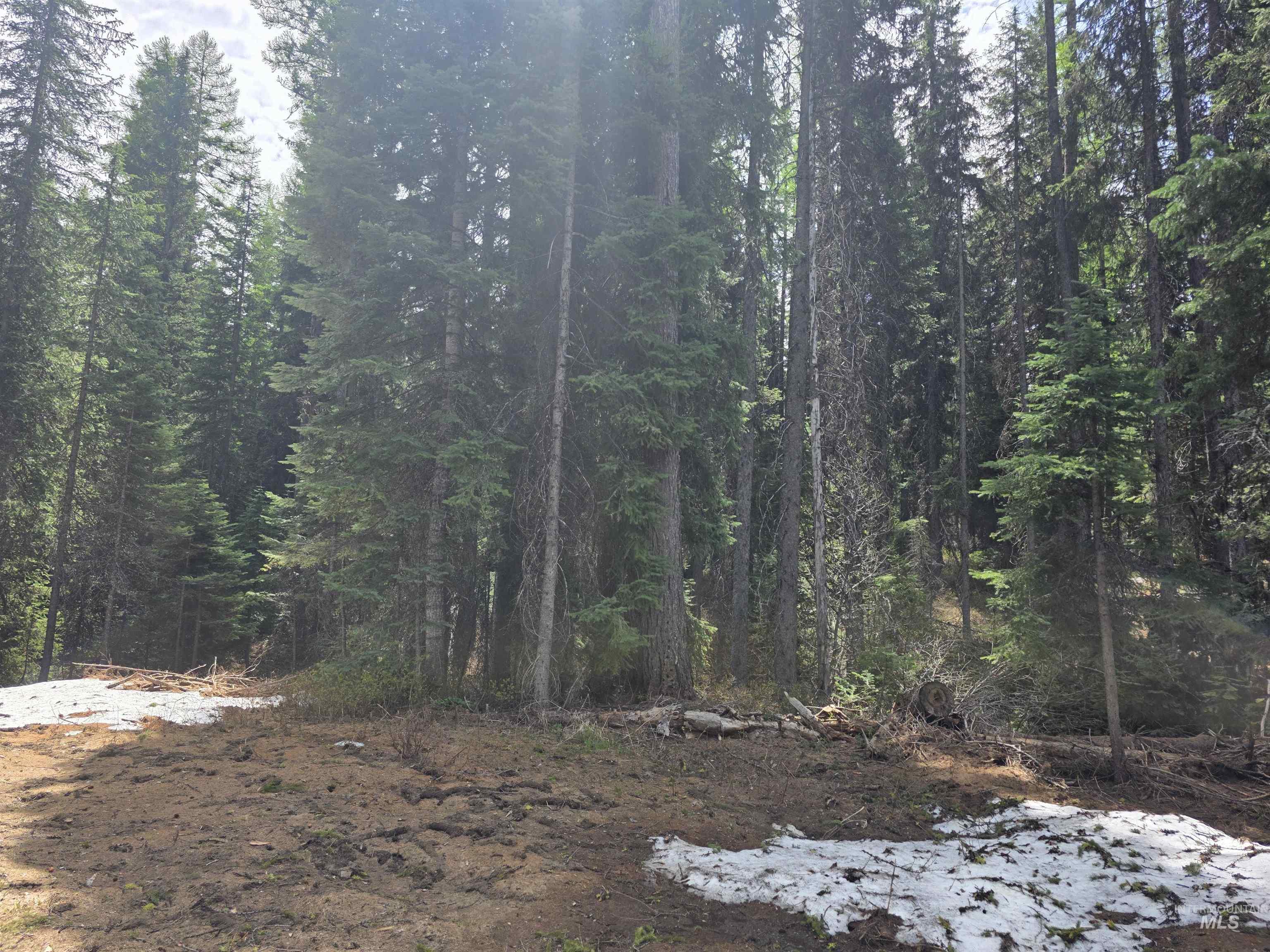 2260 Franks Road, Donnelly, Idaho 83615, Land For Sale, Price $245,000,MLS 98947401