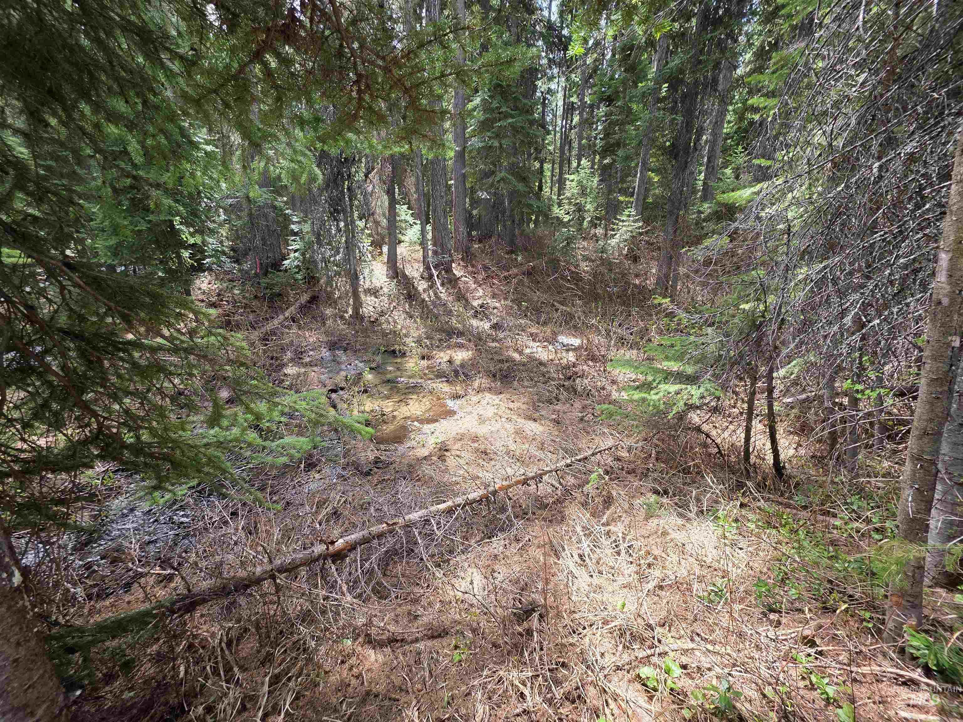 2260 Franks Road, Donnelly, Idaho 83615, Land For Sale, Price $245,000,MLS 98947401
