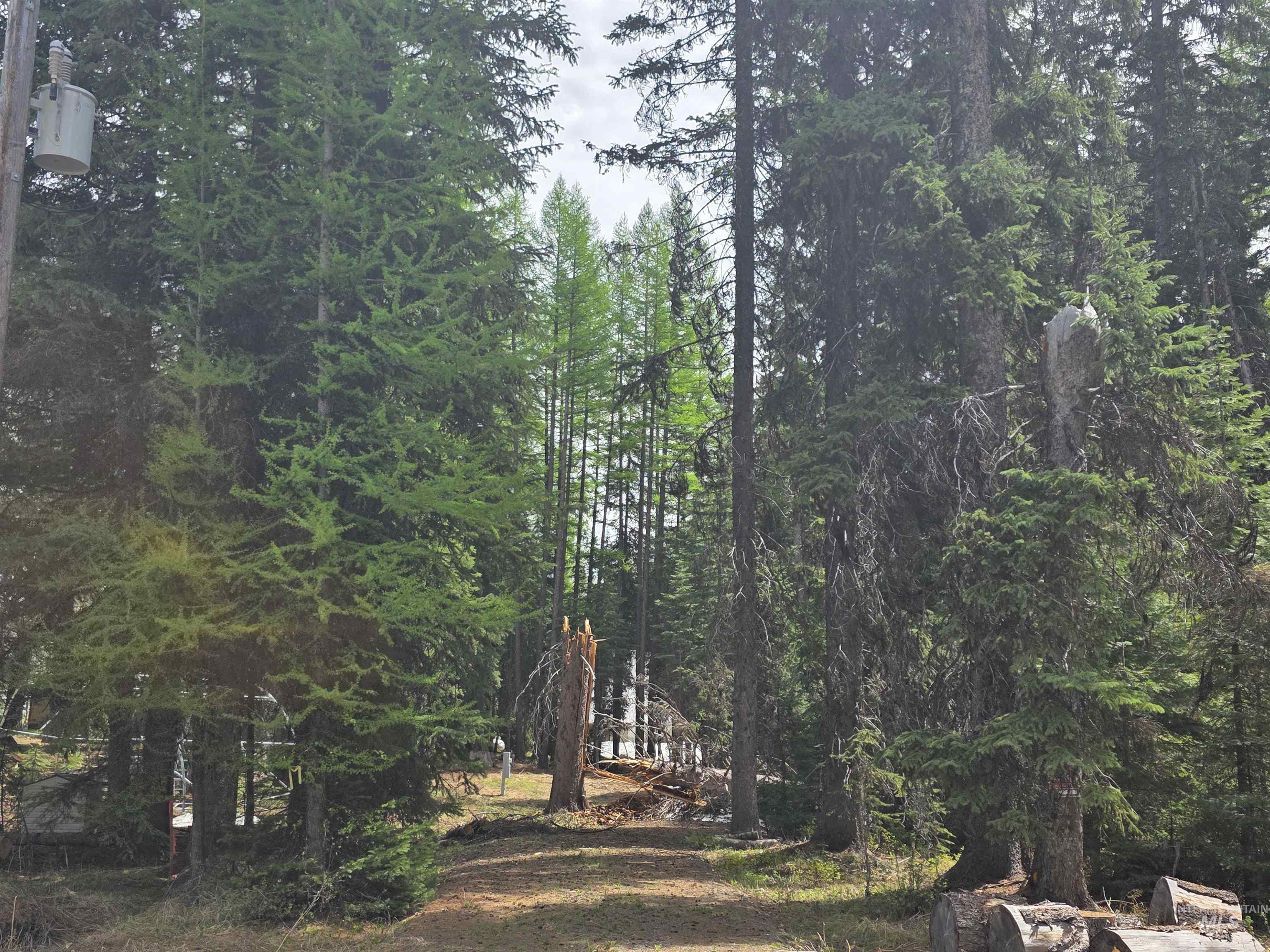 2260 Franks Road, Donnelly, Idaho 83615, Land For Sale, Price $245,000,MLS 98947401