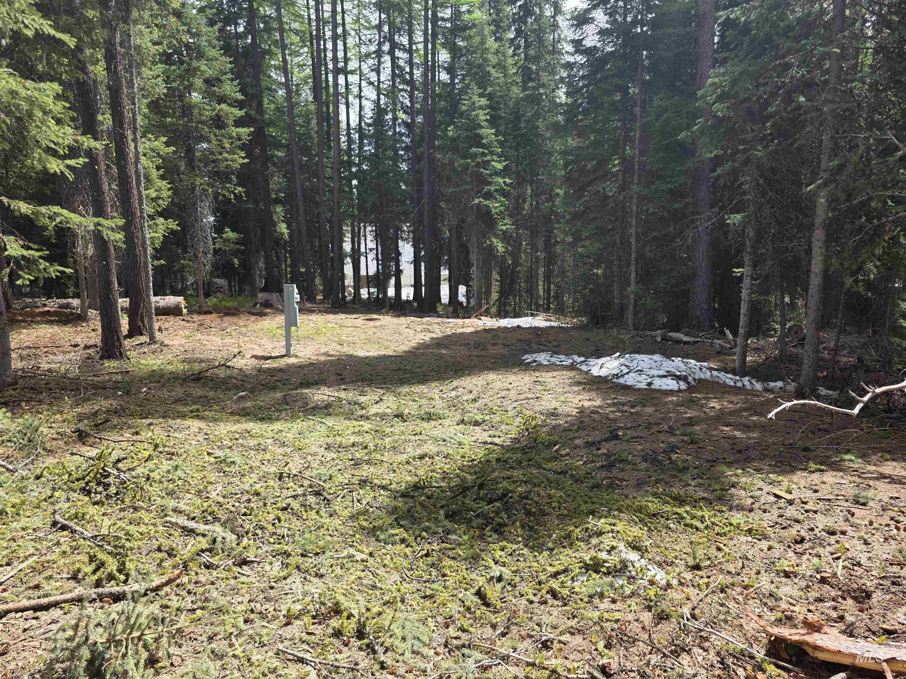 2260 Franks Road, Donnelly, Idaho 83615, Land For Sale, Price $245,000,MLS 98947401