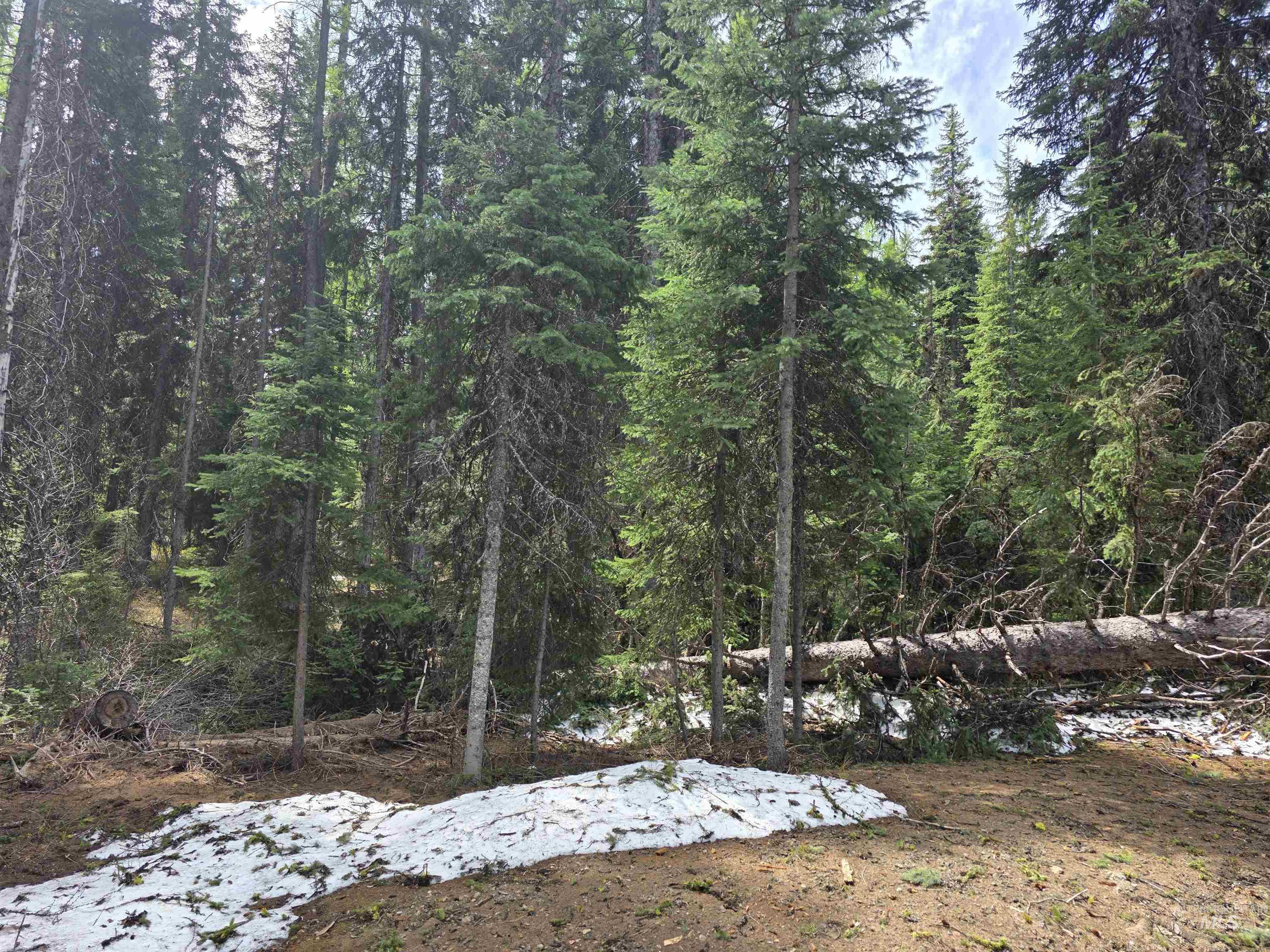 2260 Franks Road, Donnelly, Idaho 83615, Land For Sale, Price $245,000,MLS 98947401