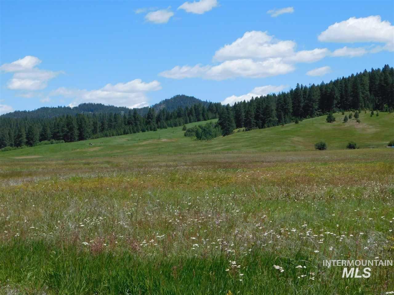 15 Ringo Lane, Donnelly, Idaho 83615, Land For Sale, Price $379,999, 98947483