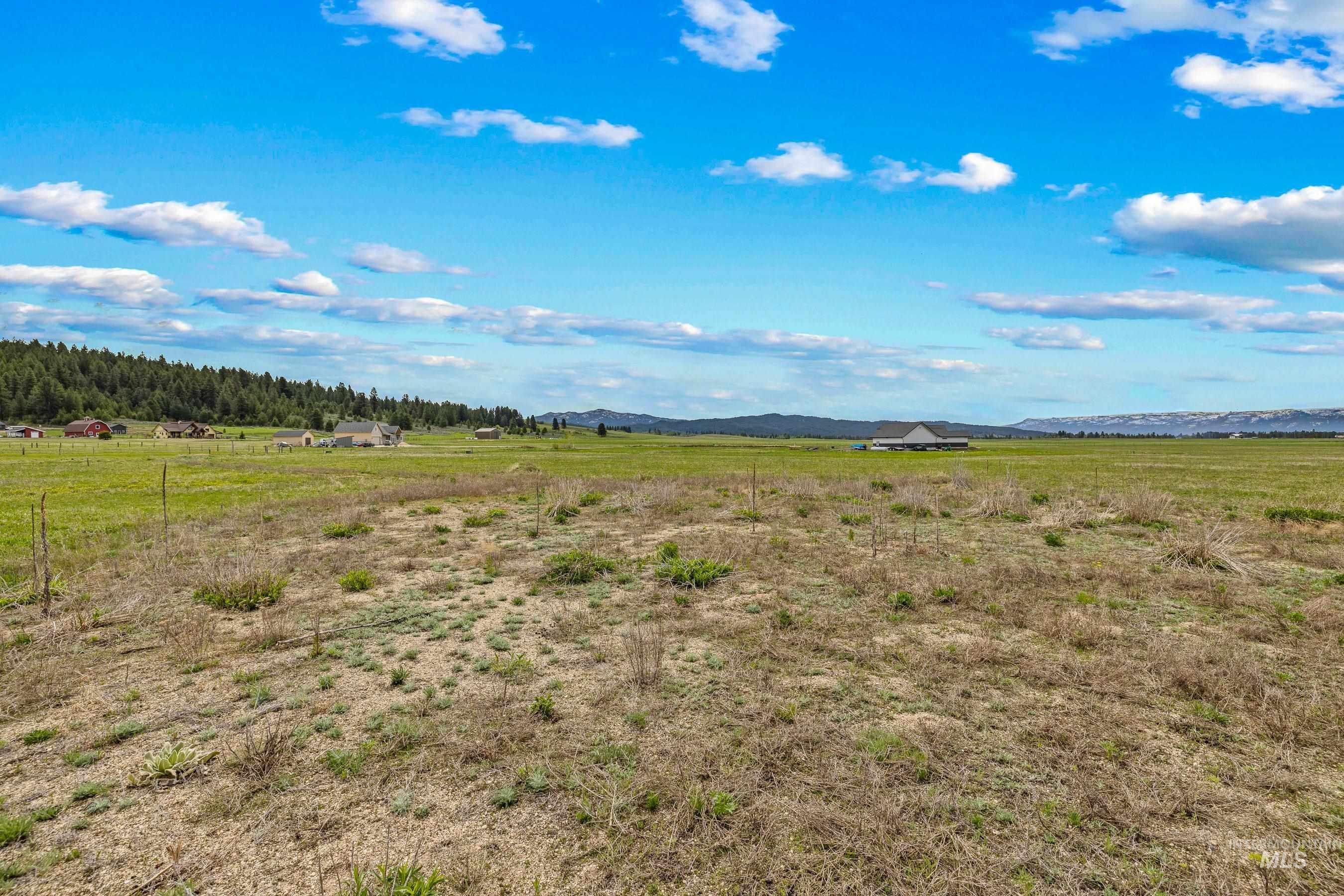 15 Ringo Lane, Donnelly, Idaho 83615, Land For Sale, Price $379,999, 98947483