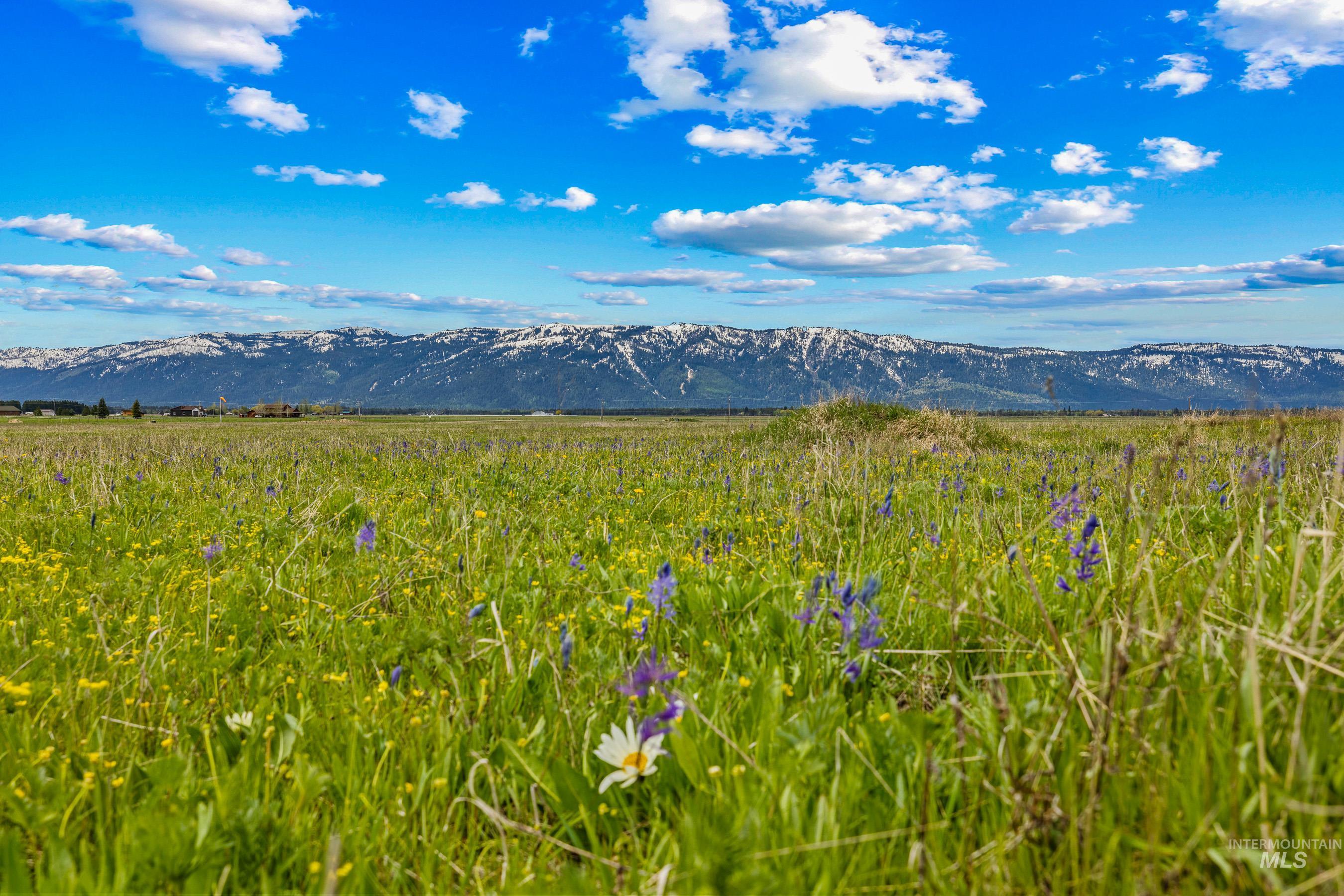 15 Ringo Lane, Donnelly, Idaho 83615, Land For Sale, Price $379,999, 98947483