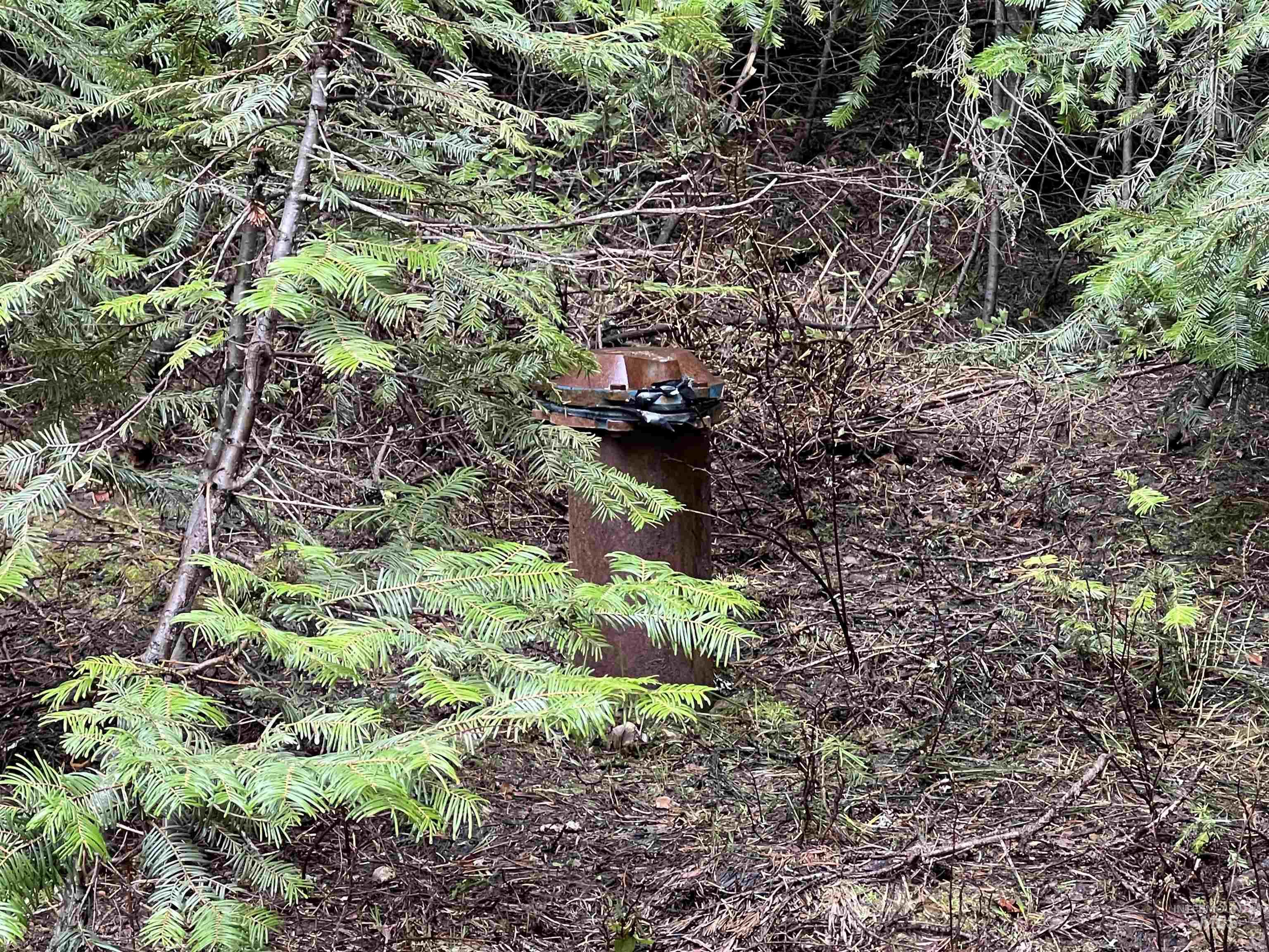 TBD Boydstun St, McCall, Idaho 83638, Land For Sale, Price $179,000, 98947564