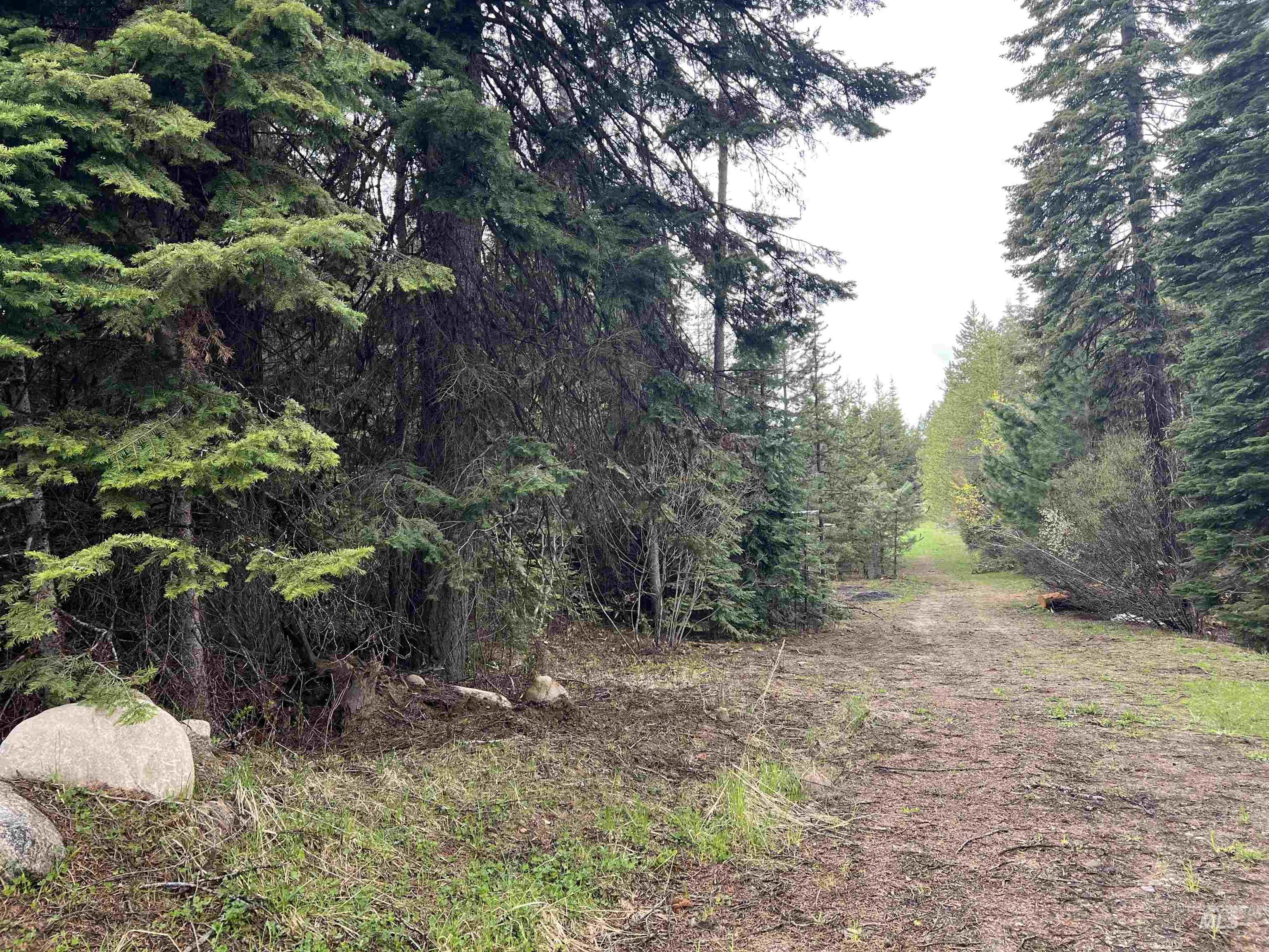 TBD Boydstun St, McCall, Idaho 83638, Land For Sale, Price $179,000, 98947564