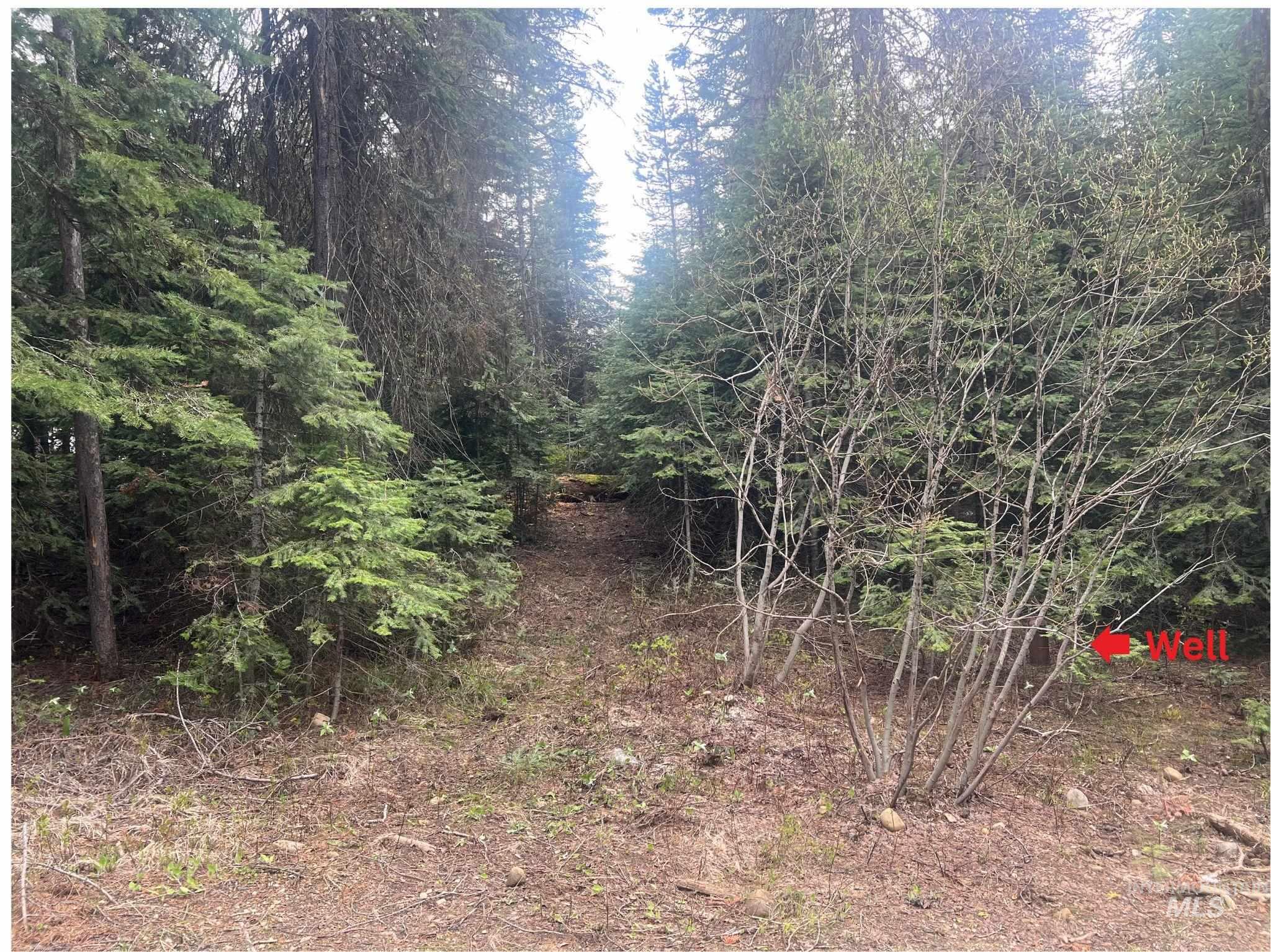 TBD Boydstun St, McCall, Idaho 83638, Land For Sale, Price $179,000, 98947564
