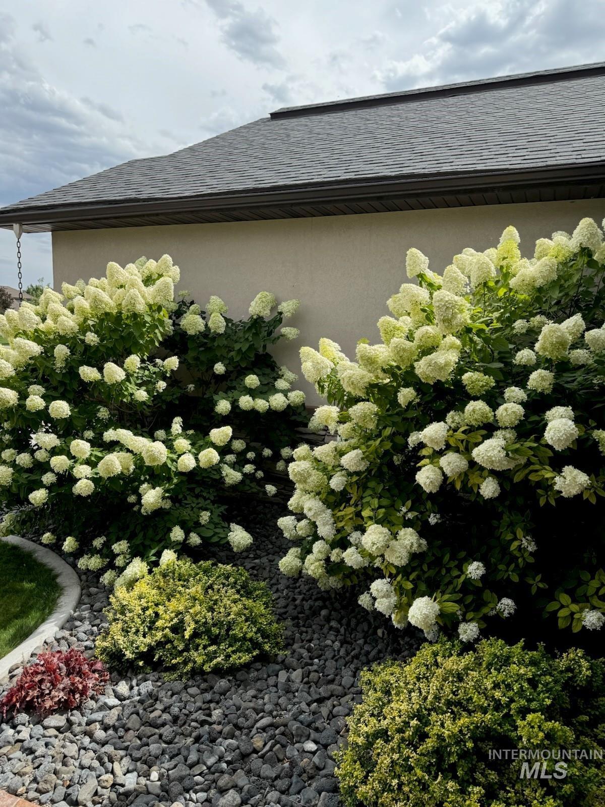 2157 Cayuse Street, Twin Falls, Idaho 83301, 4 Bedrooms, 2 Bathrooms, Residential For Sale, Price $539,900, 98947625