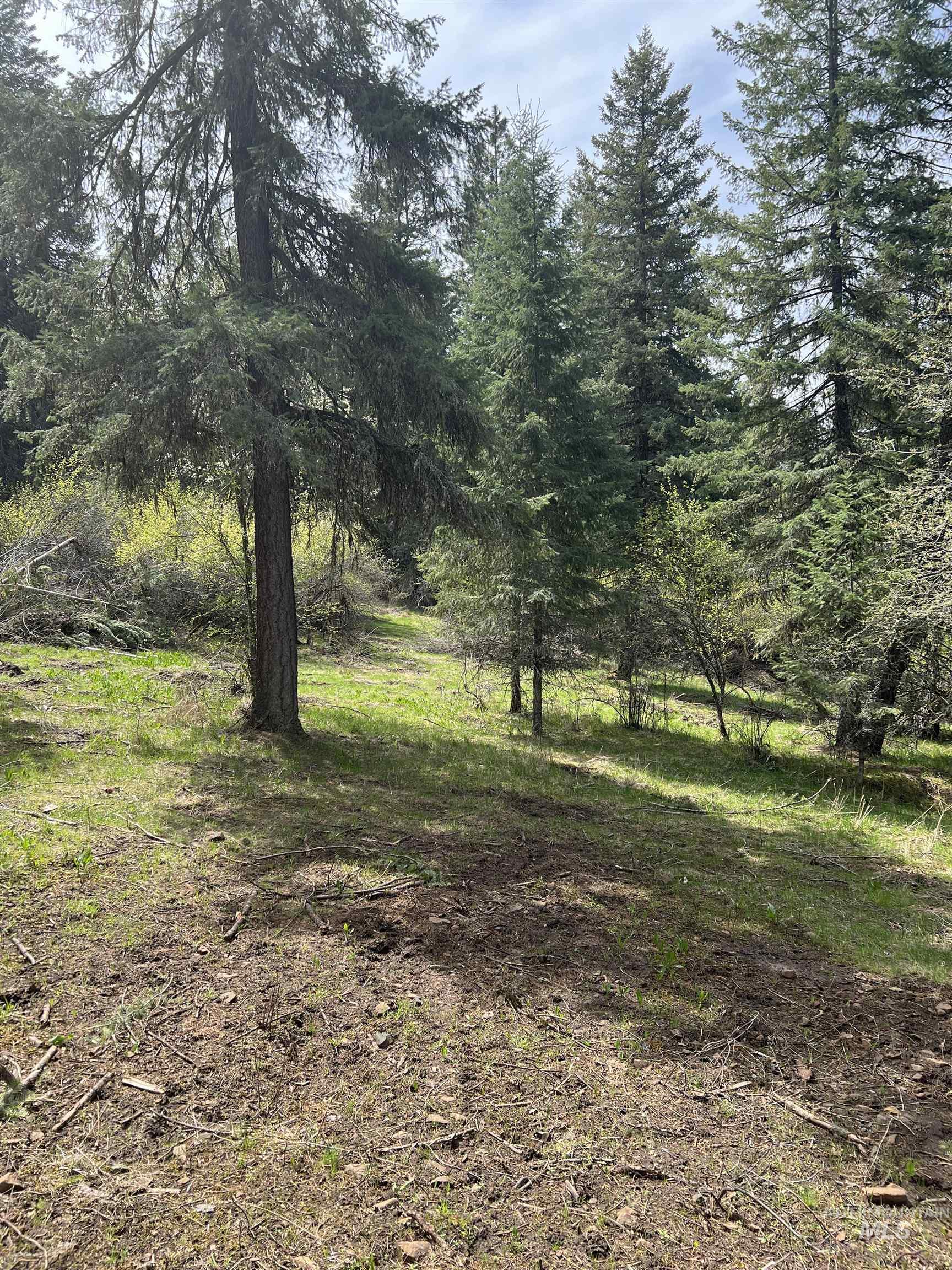 Parcel B Elk City Wagon Road, Stites, Idaho 83539, Land For Sale, Price $117,000, 98947634