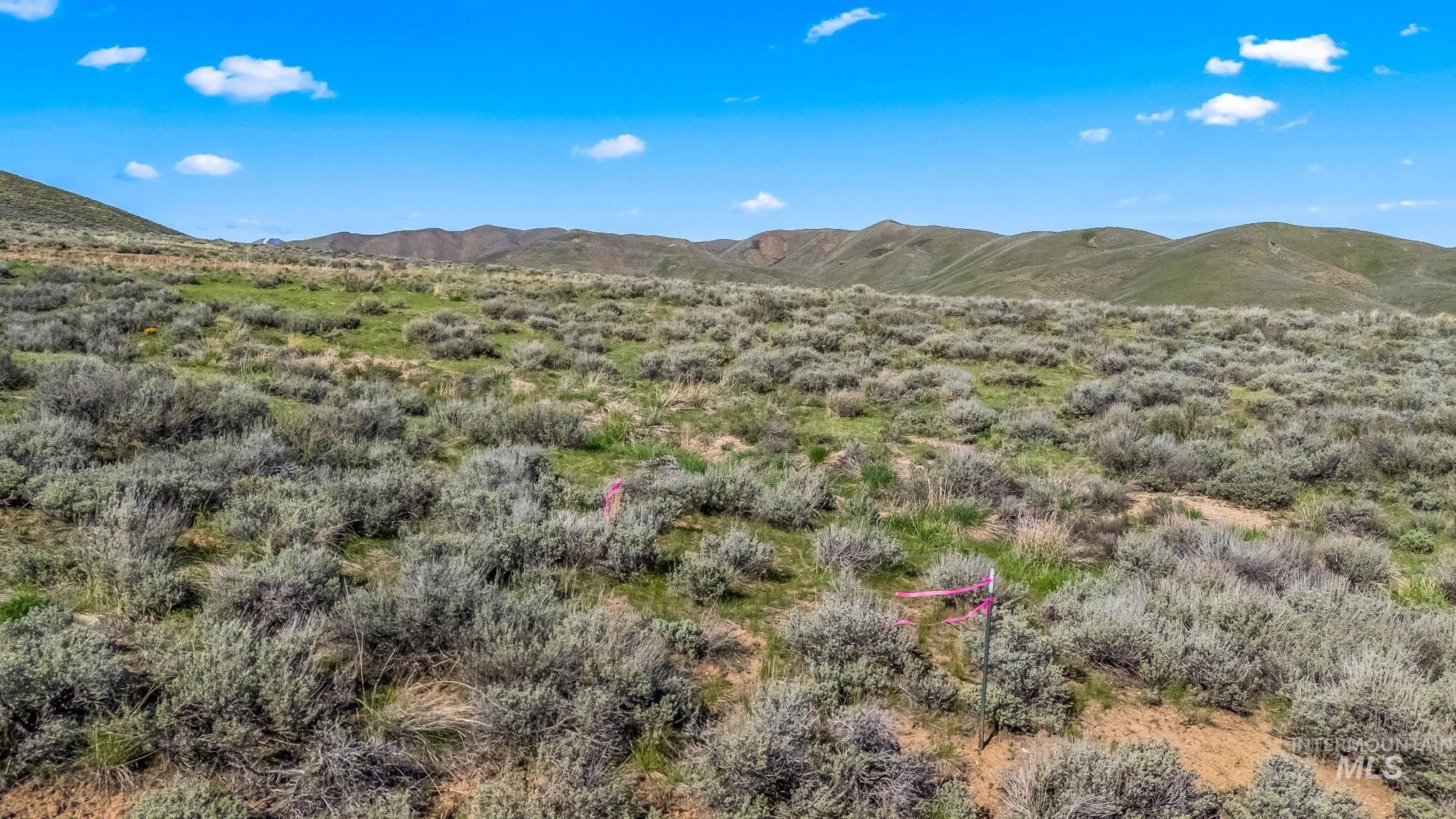 Lot 24 Buena Vista Loop, Fairfield, Idaho 83327, Land For Sale, Price $92,500,MLS 98947637
