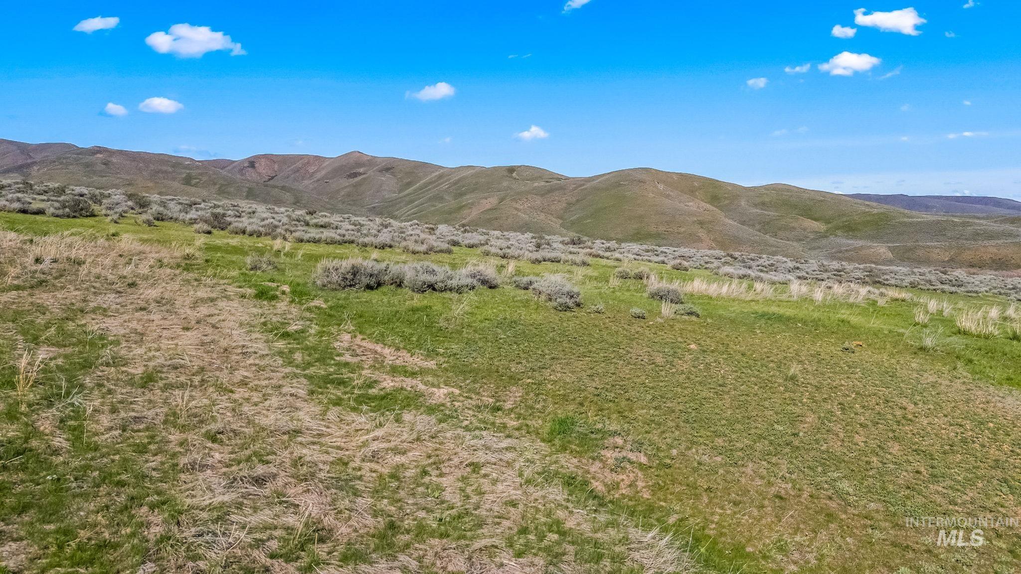 Lot 29 Buena Vista Loop, Fairfield, Idaho 83327, Land For Sale, Price $98,500,MLS 98947638