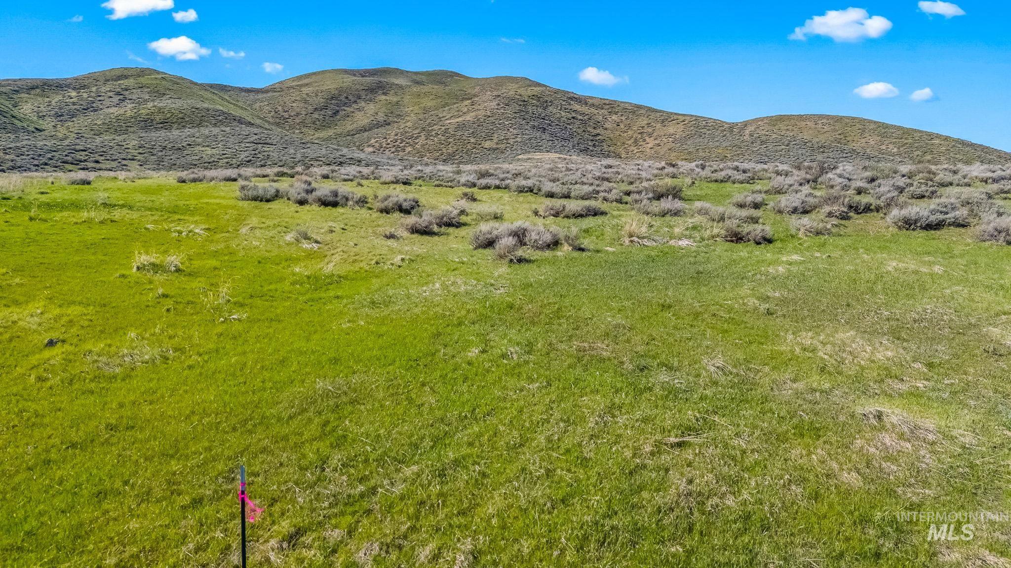 Lot 29 Buena Vista Loop, Fairfield, Idaho 83327, Land For Sale, Price $98,500,MLS 98947638