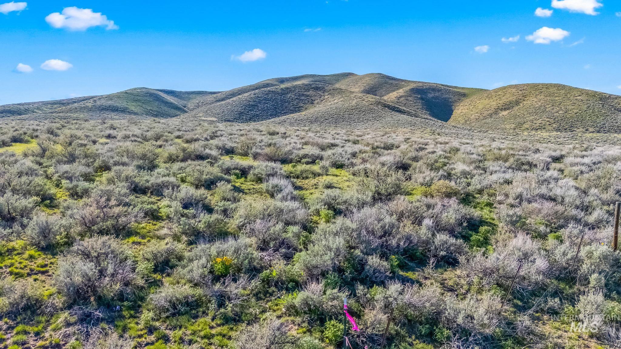 Lot 8 Buena Vista Loop, Fairfield, Idaho 83327, Land For Sale, Price $98,500,MLS 98947640