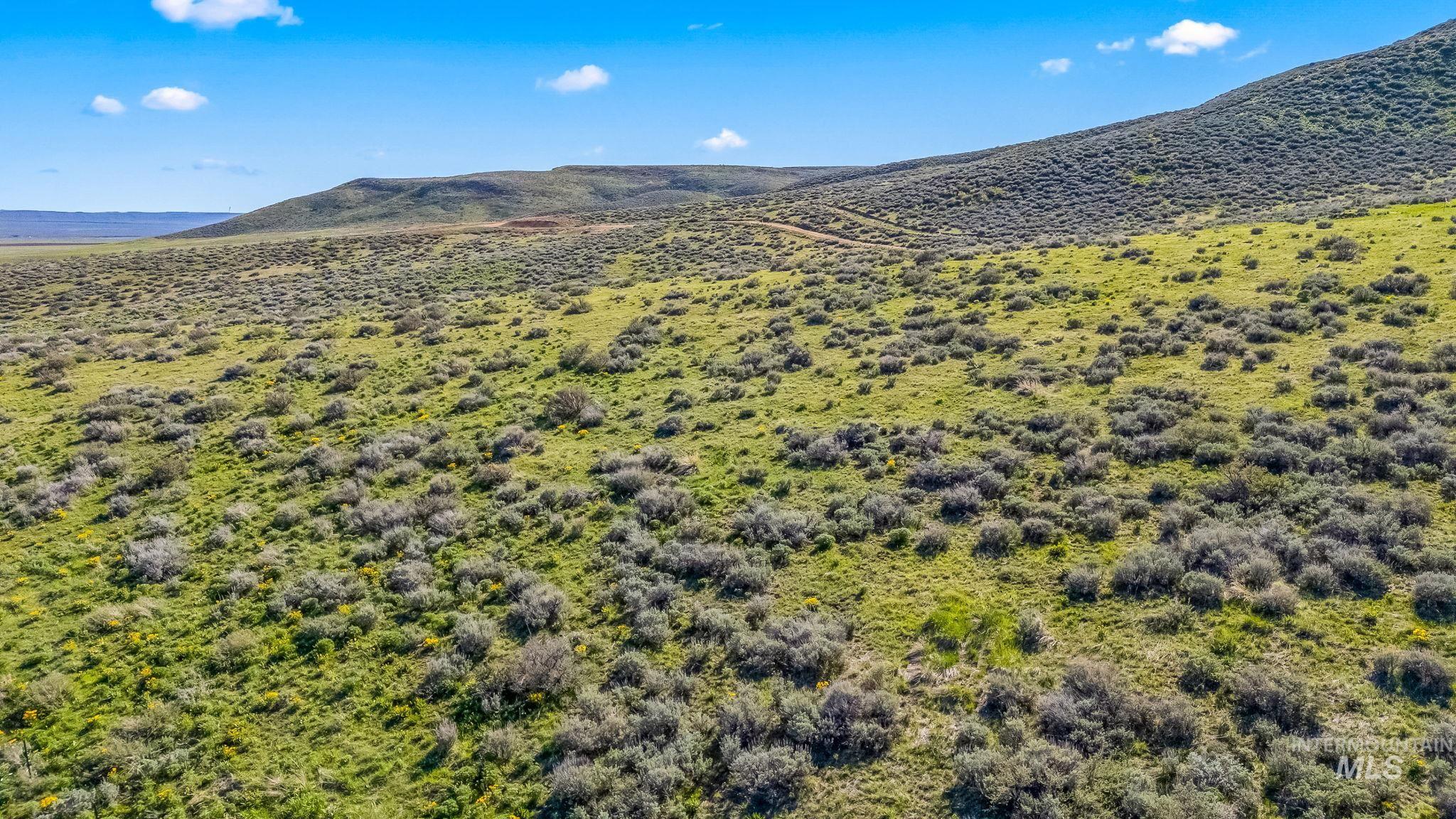 Lot 12 Mountain View Circle, Fairfield, Idaho 83327, Land For Sale, Price $114,500,MLS 98947641