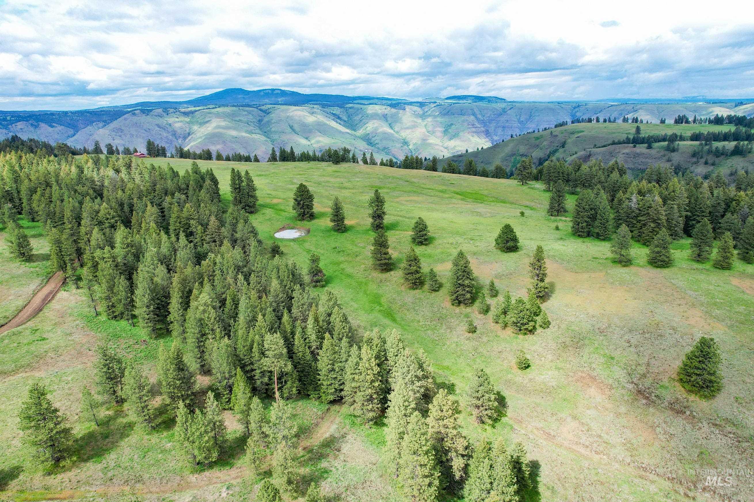 205 Burnt Creek Road, CottonWood, Idaho 83522, 1 Bedroom, 1 Bathroom, Farm & Ranch For Sale, Price $3,866,800,MLS 98947716