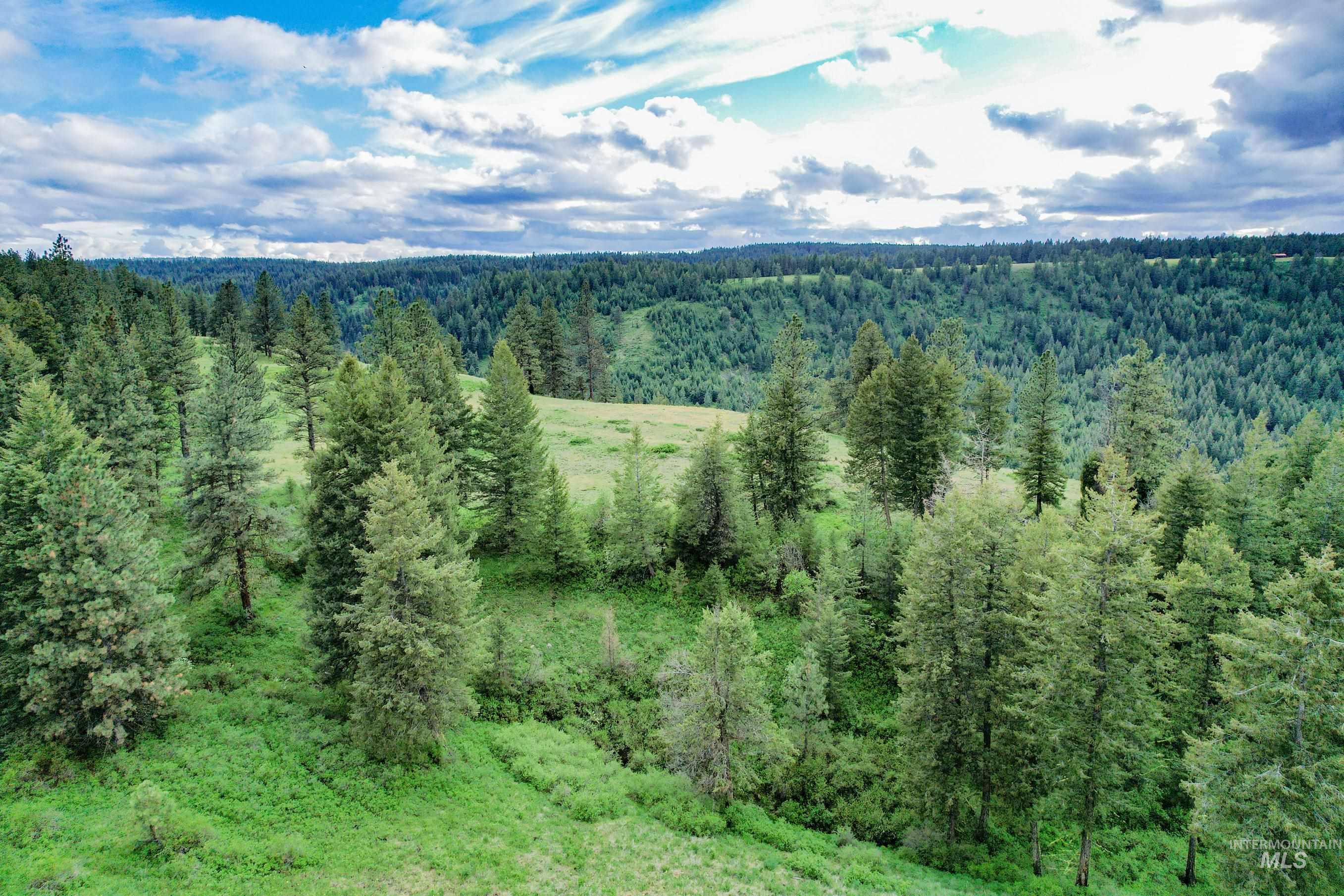 205 Burnt Creek Road, CottonWood, Idaho 83522, 1 Bedroom, 1 Bathroom, Farm & Ranch For Sale, Price $3,866,800,MLS 98947716