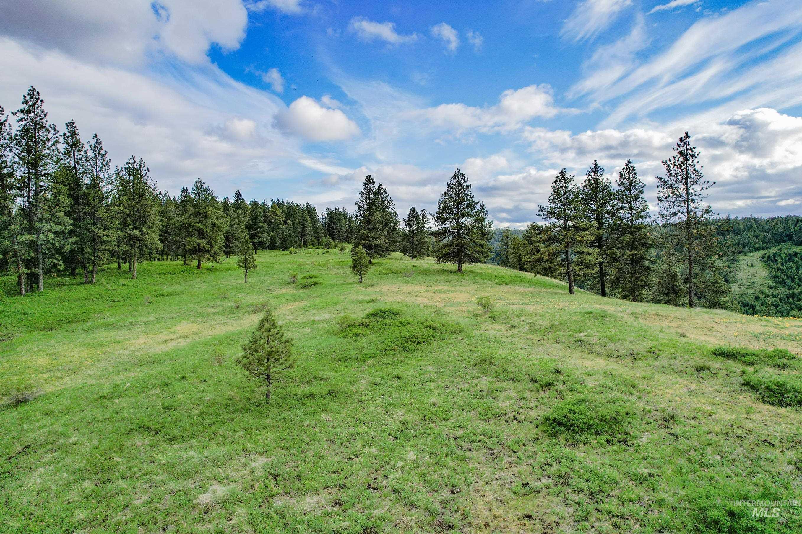 205 Burnt Creek Road, CottonWood, Idaho 83522, 1 Bedroom, 1 Bathroom, Farm & Ranch For Sale, Price $3,866,800,MLS 98947716