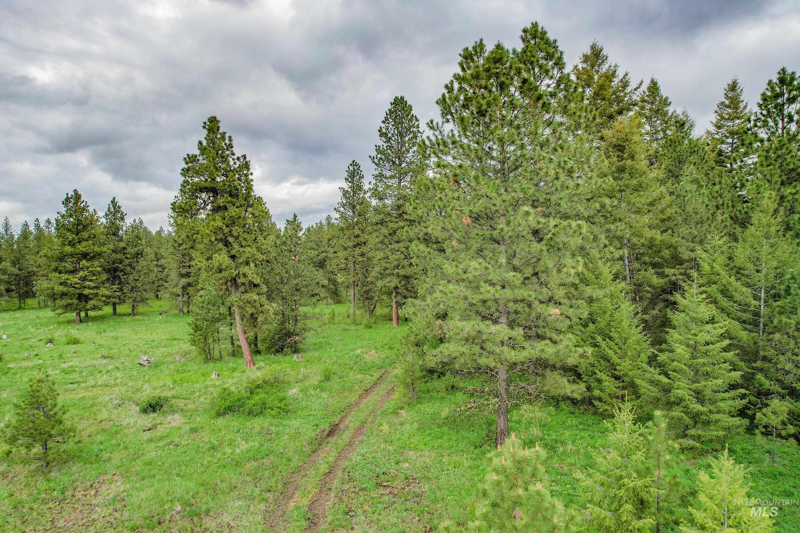 205 Burnt Creek Road, CottonWood, Idaho 83522, 1 Bedroom, 1 Bathroom, Farm & Ranch For Sale, Price $3,866,800,MLS 98947716