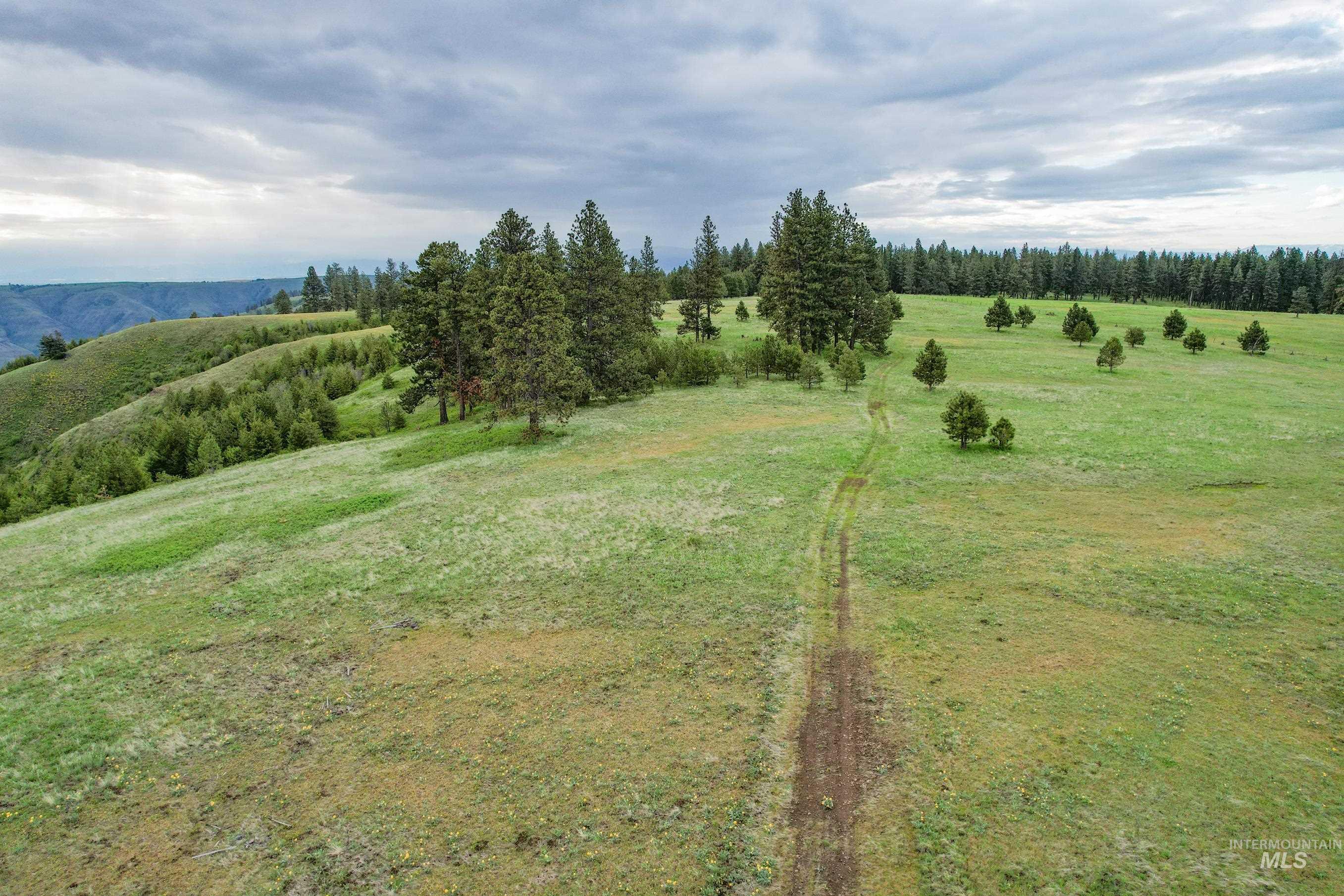 205 Burnt Creek Road, CottonWood, Idaho 83522, 1 Bedroom, 1 Bathroom, Farm & Ranch For Sale, Price $3,866,800,MLS 98947716