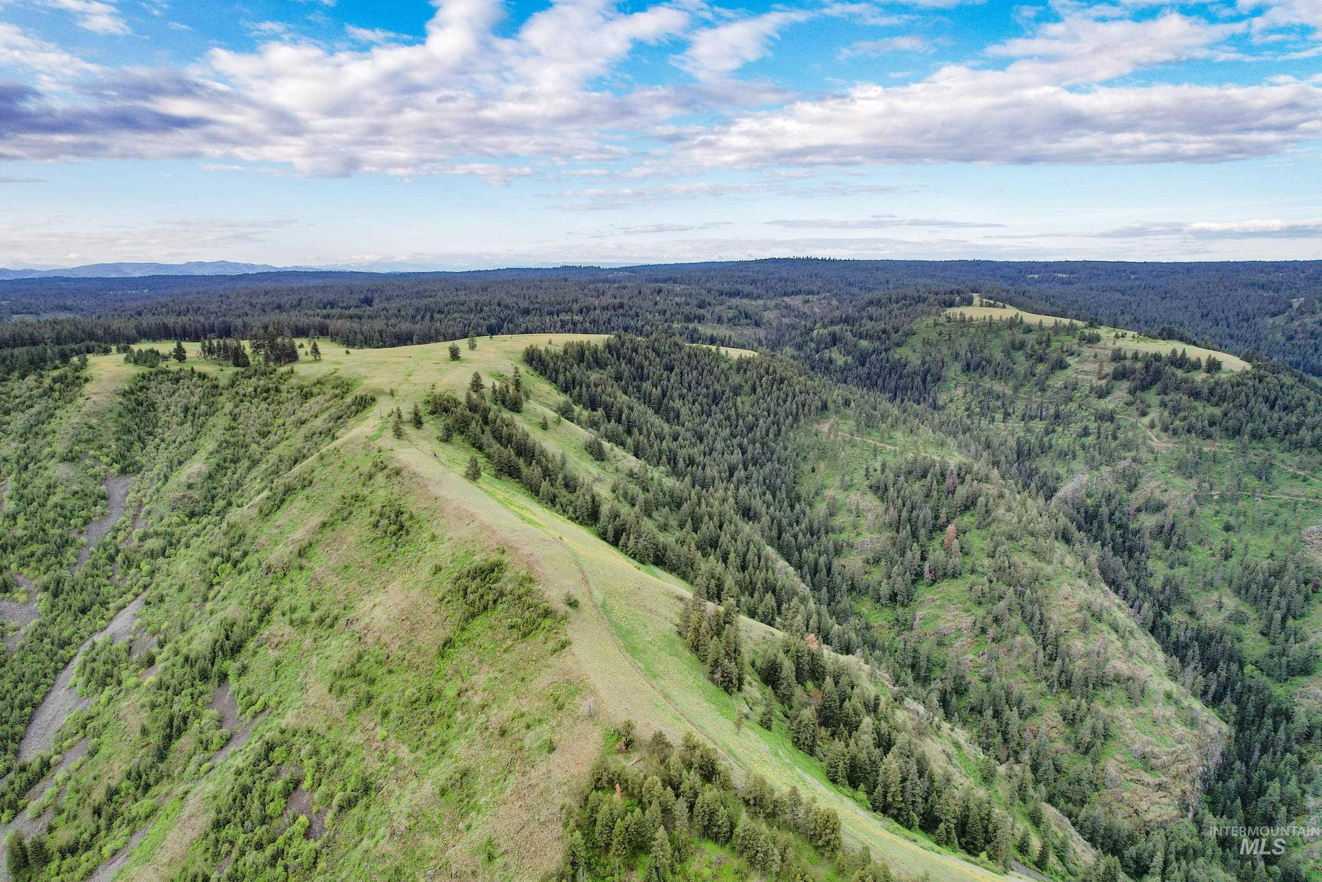 205 Burnt Creek Road, CottonWood, Idaho 83522, 1 Bedroom, 1 Bathroom, Farm & Ranch For Sale, Price $3,866,800,MLS 98947716