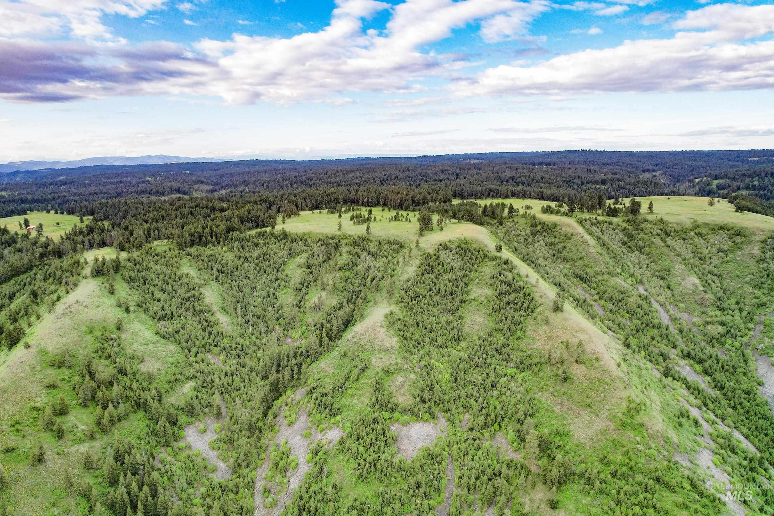 205 Burnt Creek Road, CottonWood, Idaho 83522, 1 Bedroom, 1 Bathroom, Farm & Ranch For Sale, Price $3,866,800,MLS 98947716