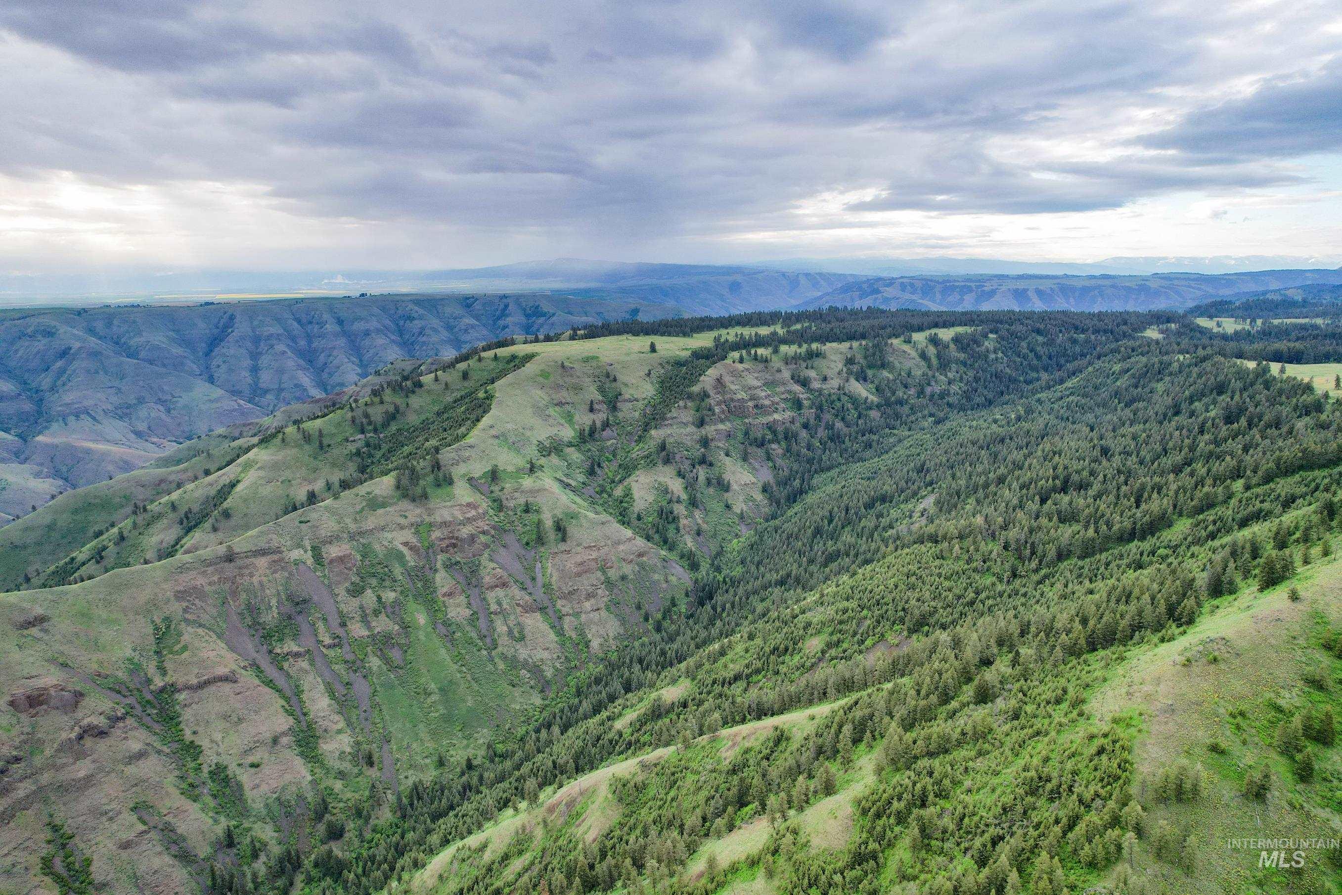 205 Burnt Creek Road, CottonWood, Idaho 83522, 1 Bedroom, 1 Bathroom, Farm & Ranch For Sale, Price $3,866,800,MLS 98947716