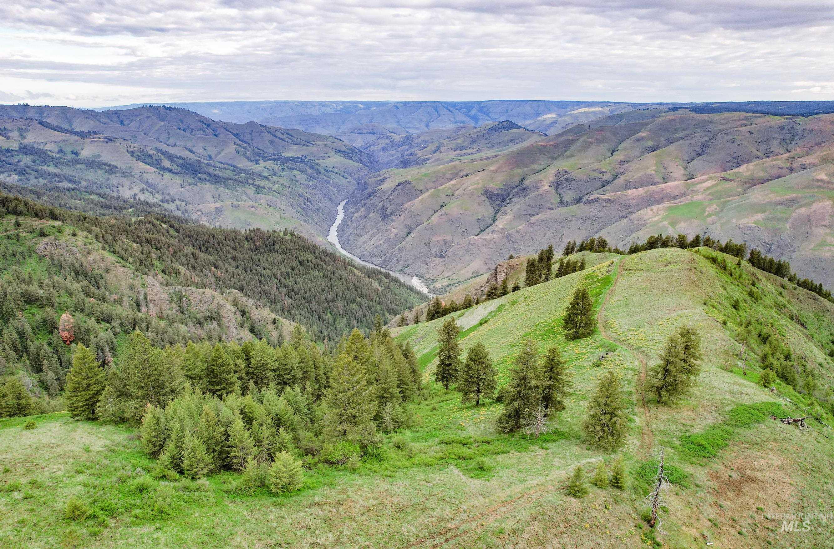 205 Burnt Creek Road, CottonWood, Idaho 83522, 1 Bedroom, 1 Bathroom, Farm & Ranch For Sale, Price $3,866,800,MLS 98947716